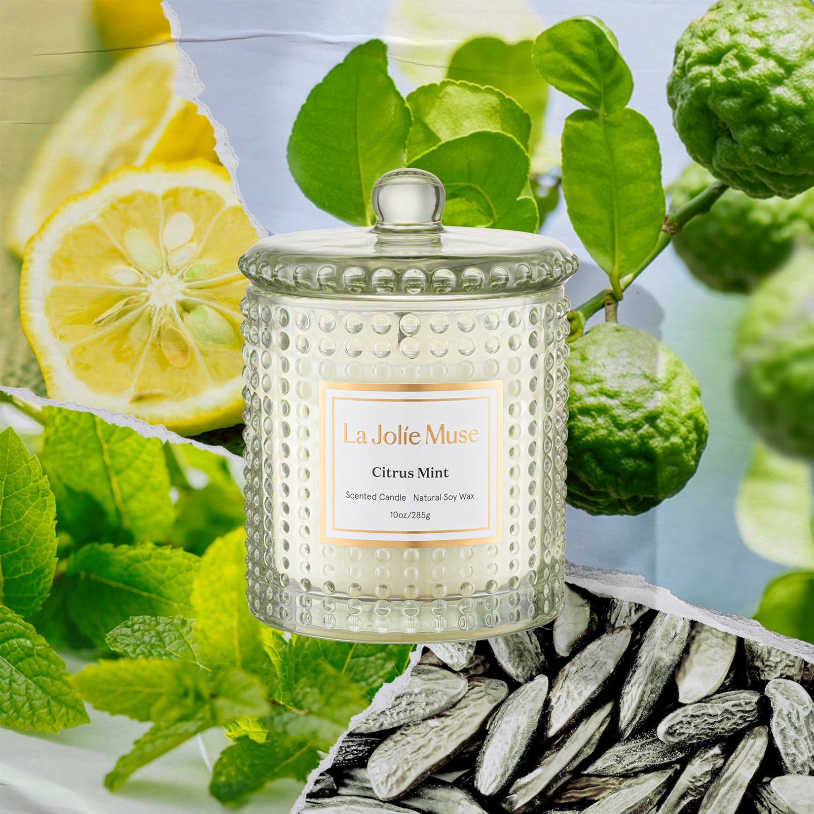 Marvella - Citrus Mint 10oz Candle Candles 2-collage La Jolie Muse