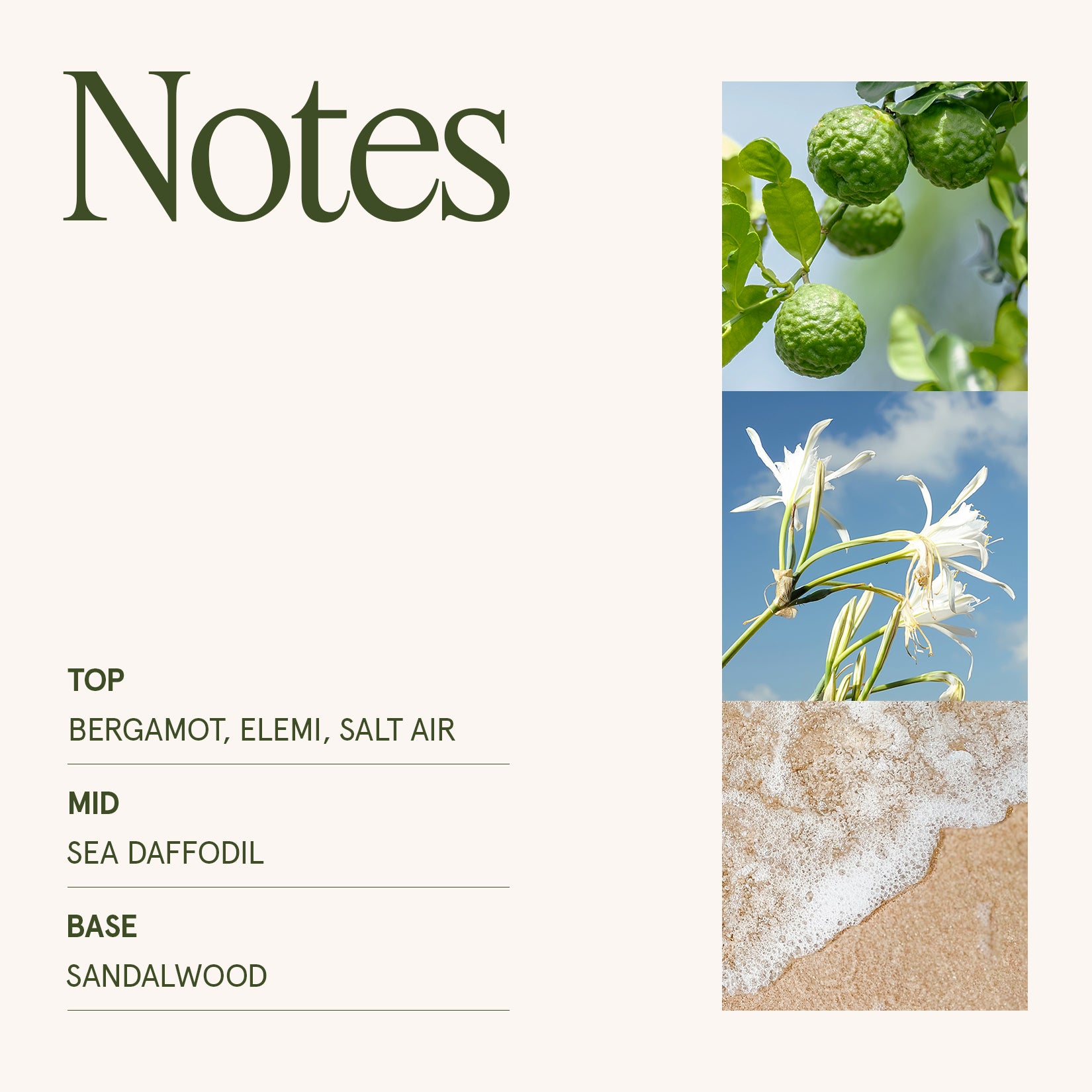 Maelyn - Santorini Salt Air 6oz Candle Candles 4_12_1b7c10b3-acea-45f2-b736-5592de2127cb La Jolie Muse