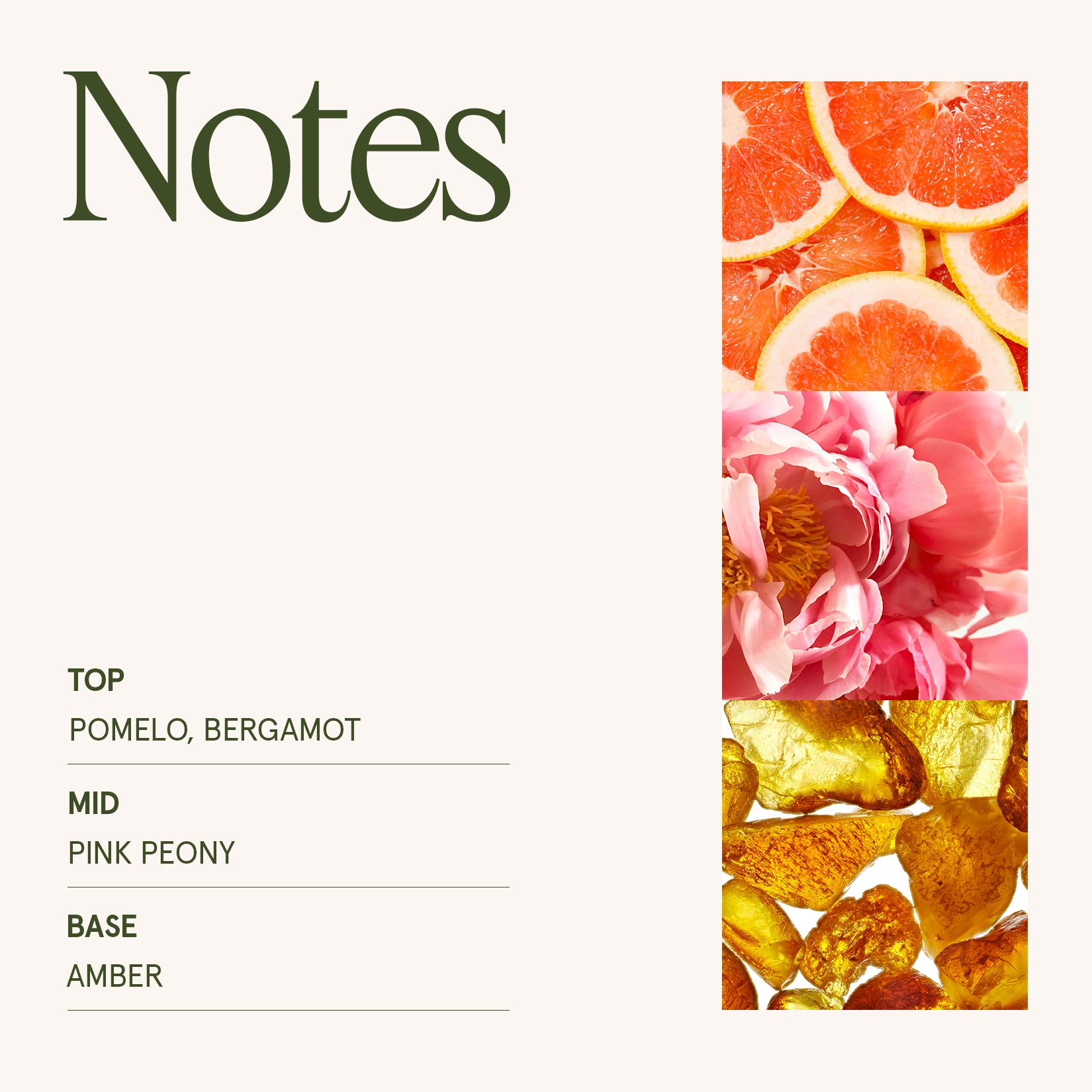 Maelyn - Citrine & Pink Peony 6oz Candle Candles 4_14_4f91d7a9-6ff0-42e2-85f5-8eb55e436976 La Jolie Muse