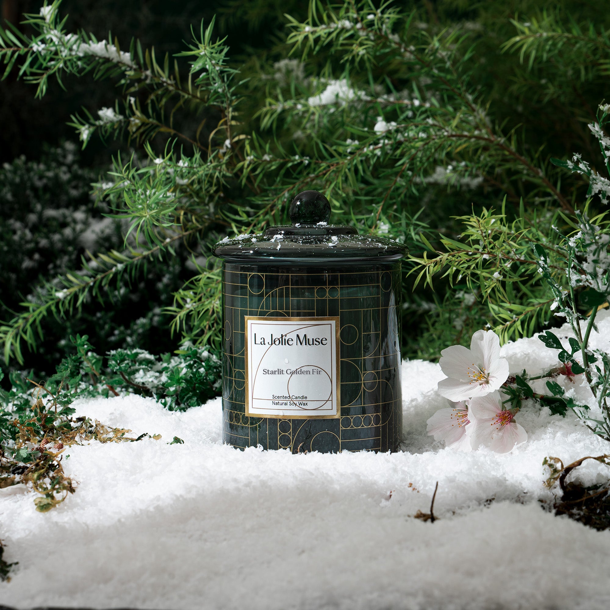 Roesia Starlit Golden Fir 10oz Candle Candles 4_15 La Jolie Muse