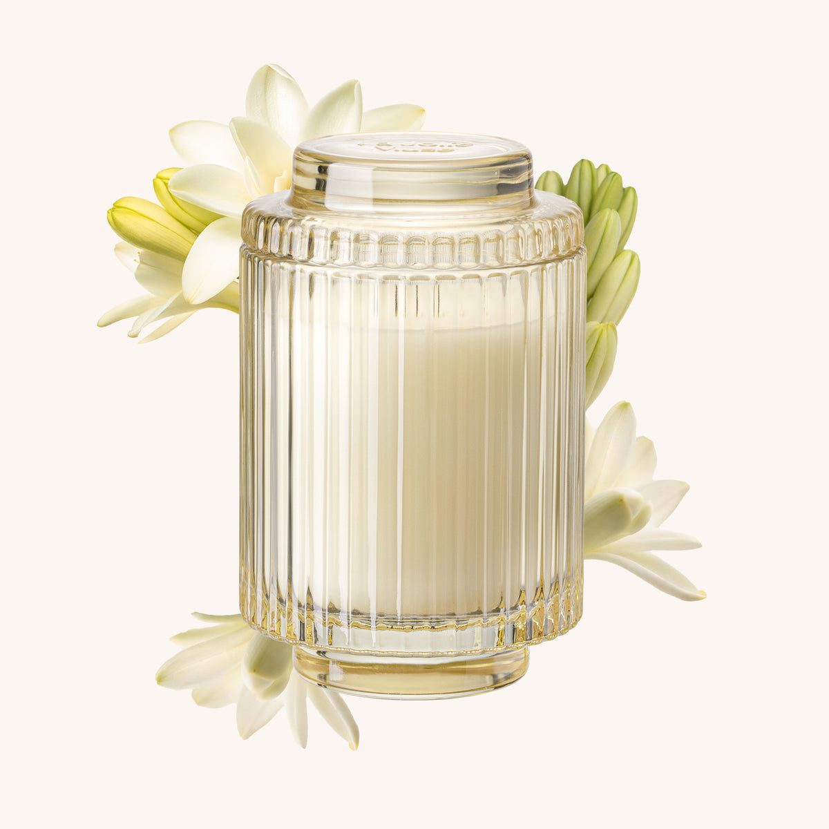 Amélie – Champs de Tuberose Candle Amelie_ChampsdeTuberose_PDP_11oz_Hover La Jolie Muse