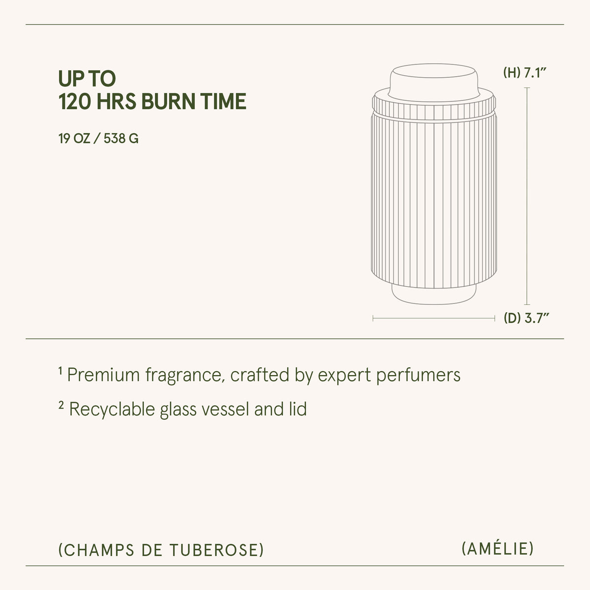 Amélie – Champs de Tuberose Candle Amelie_ChampsdeTuberose_PDP_19oz_6 La Jolie Muse