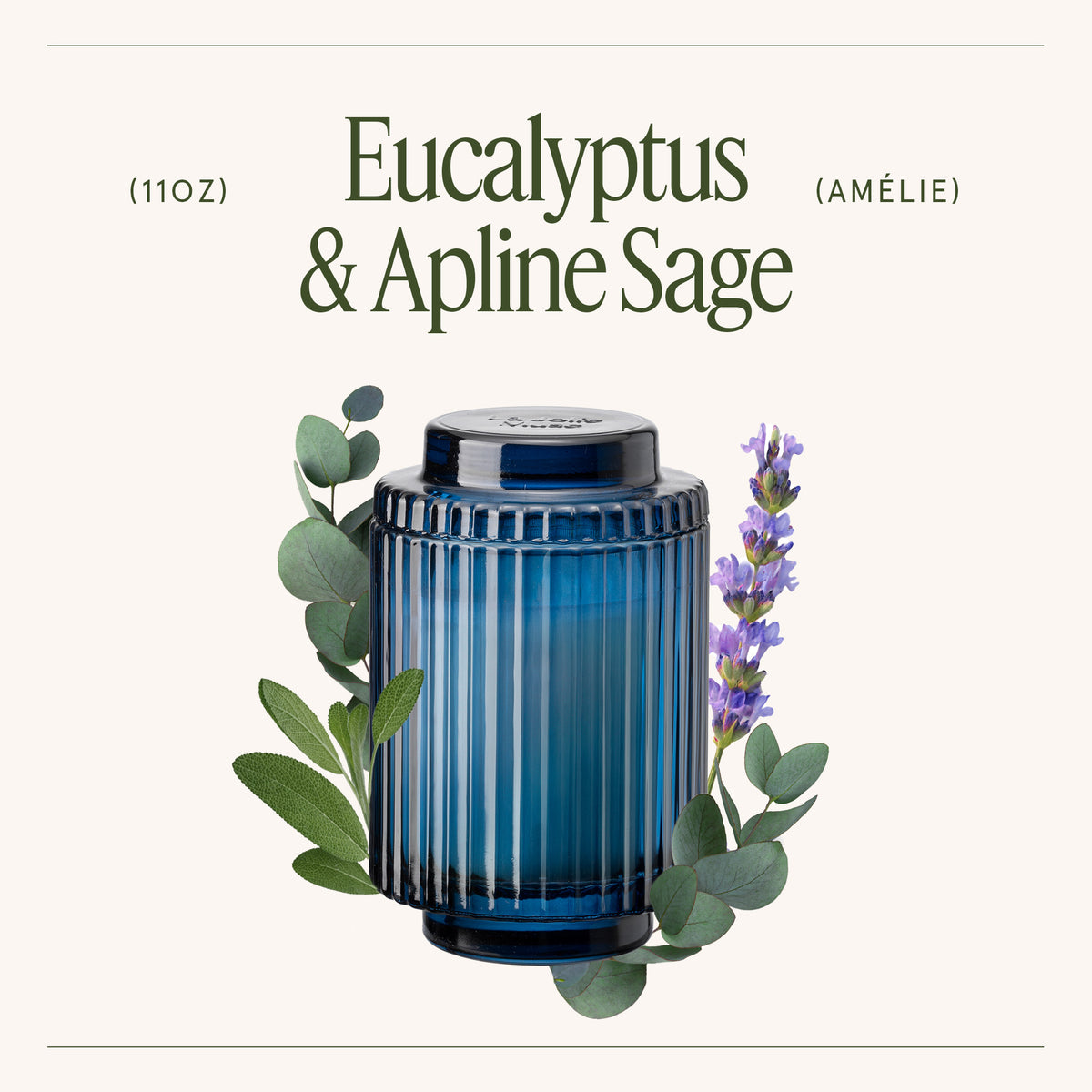Amélie – Eucalyptus & Alpine Sage Candle Amelie_EucalyptusAlpineSage_PDP_11oz_3 La Jolie Muse
