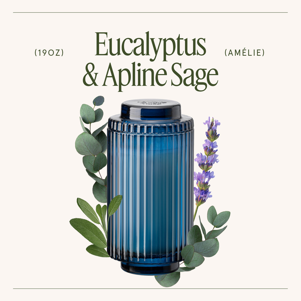 Amélie – Eucalyptus & Alpine Sage Candle Amelie_EucalyptusAlpineSage_PDP_19oz_3 La Jolie Muse