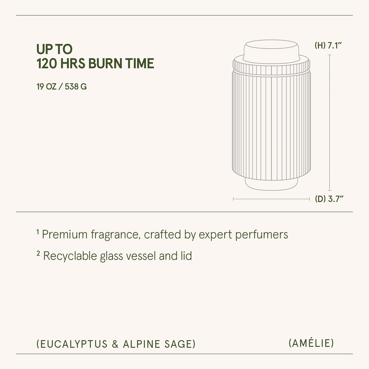 Amélie – Eucalyptus & Alpine Sage Candle Amelie_EucalyptusAlpineSage_PDP_19oz_6 La Jolie Muse