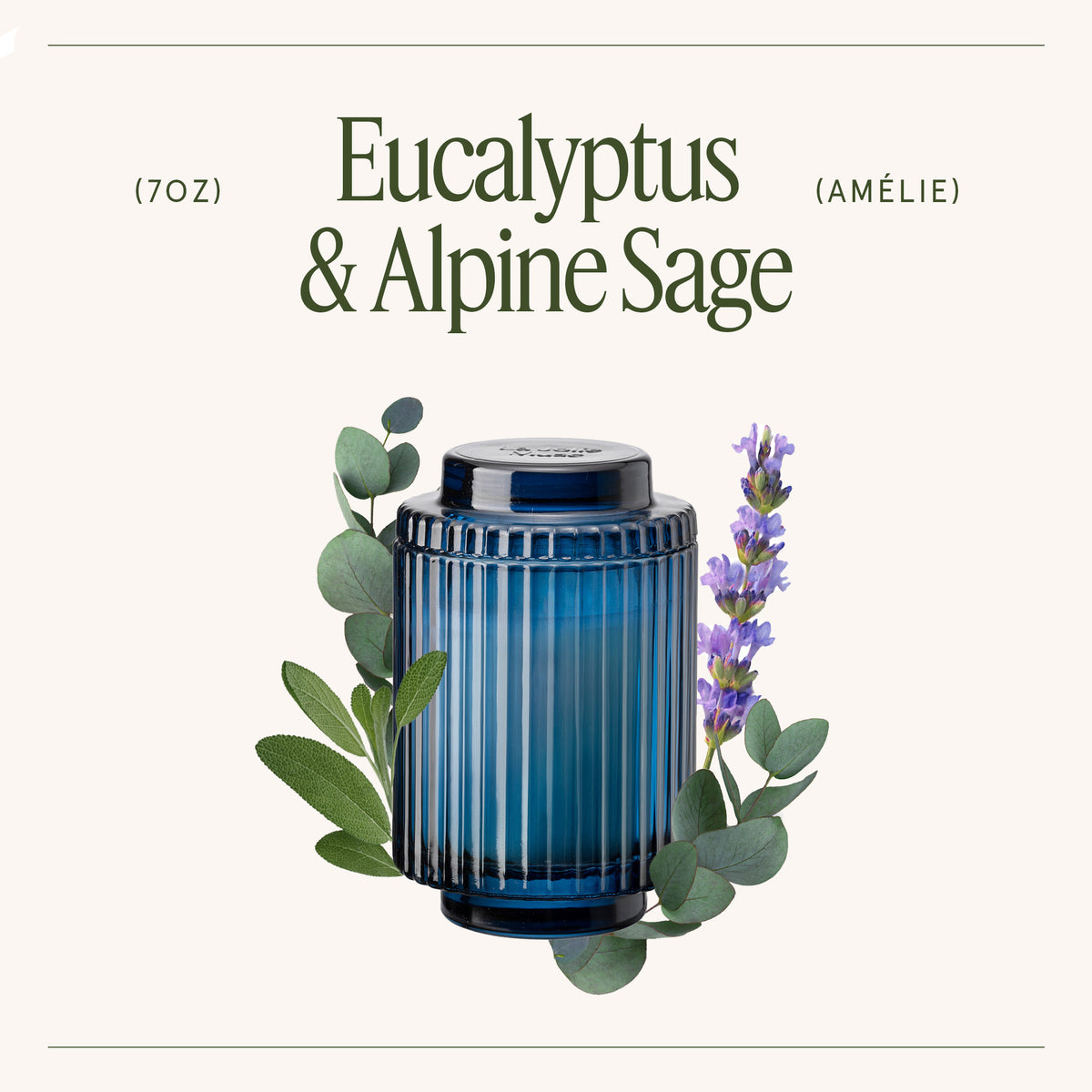 Amélie – Eucalyptus & Alpine Sage Candle Amelie_EucalyptusAlpineSage_PDP_7oz_3 La Jolie Muse