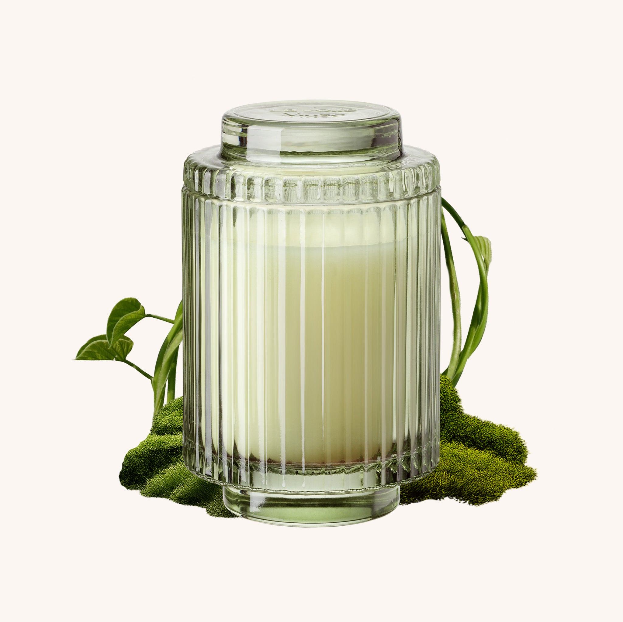 Amélie– Kyoto Vine & Moss Candle Amelie_KyotoVineMoss_PDP_11oz_Hover LA JOLIE MUSE