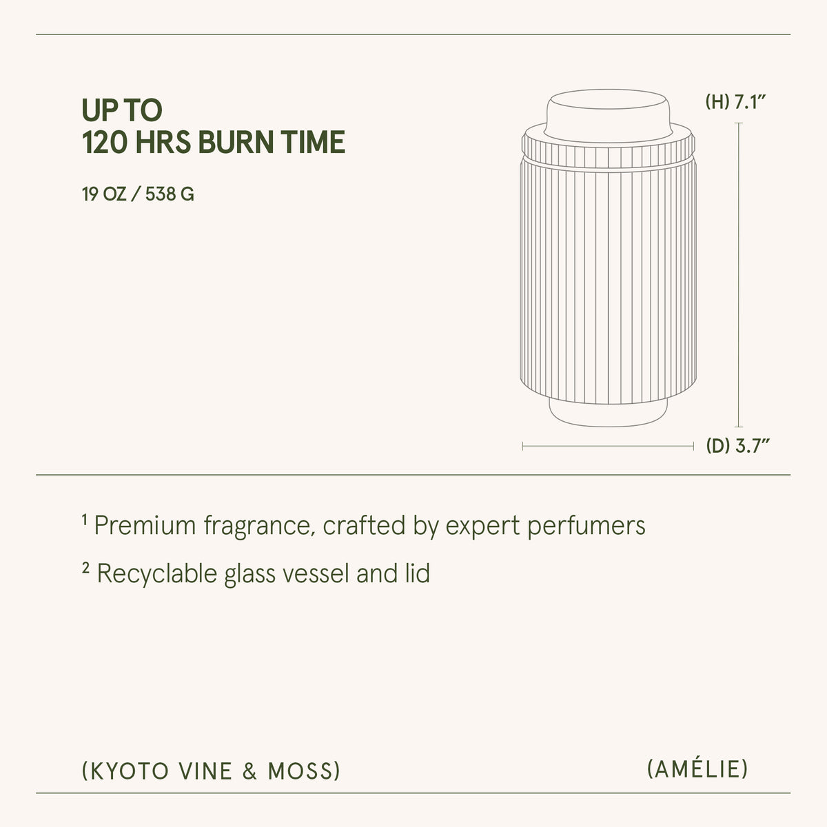 Amélie– Kyoto Vine & Moss Candle Amelie_KyotoVineMoss_PDP_19oz_6 La Jolie Muse