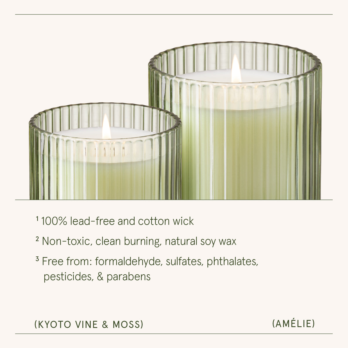 Amélie– Kyoto Vine & Moss Candle Amelie_KyotoVineMoss_PDP_7oz_4 La Jolie Muse