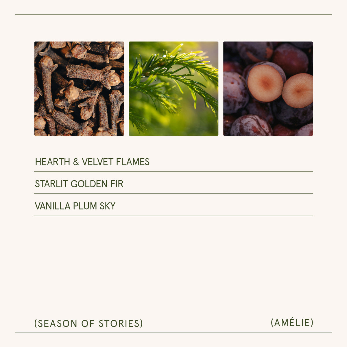 Season of Stories Trio Set Amelie_StarlitGoldenFir_PDP_11oz_5 La Jolie Muse