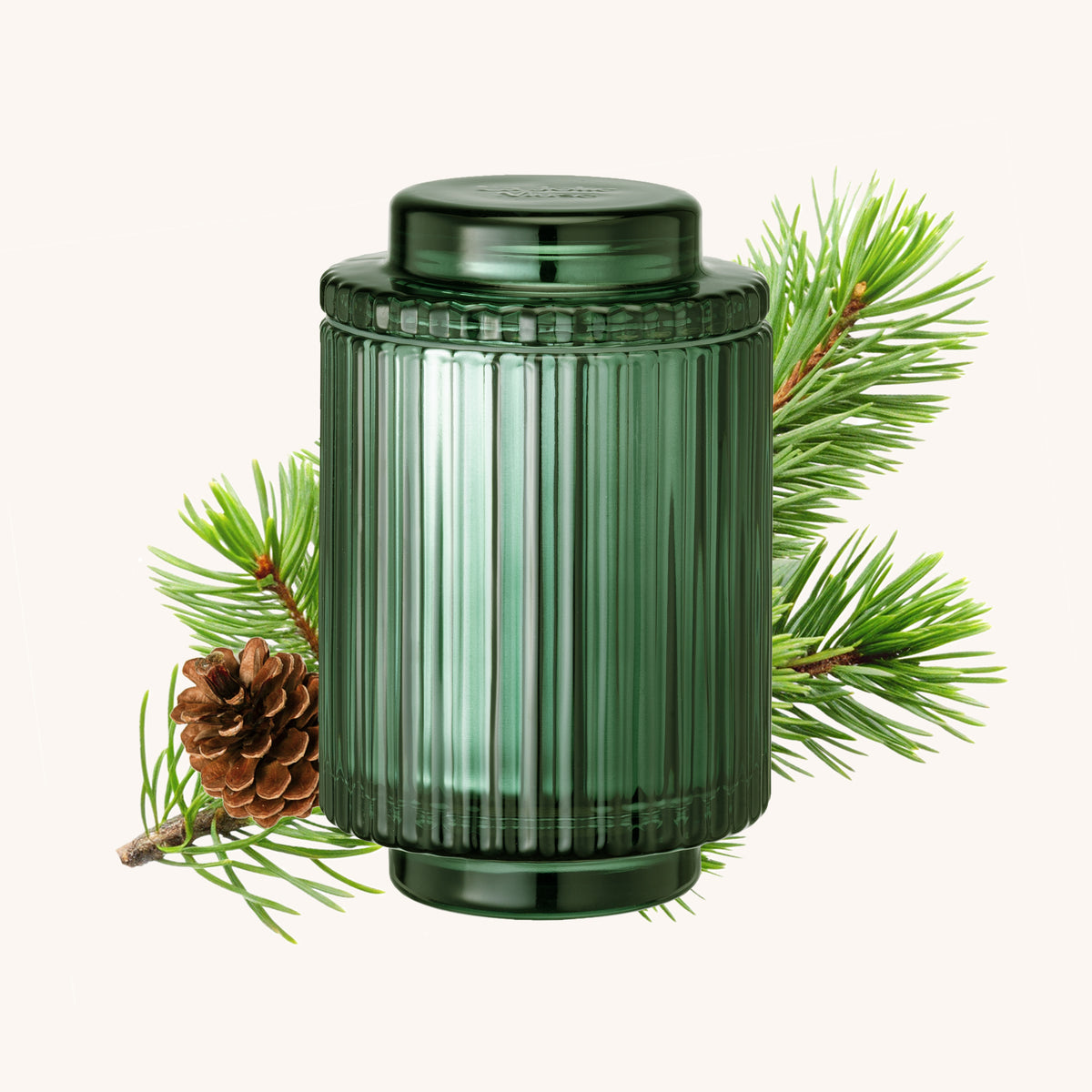 Amélie – Starlit Golden Fir 11oz Candle Amelie_StarlitGoldenFir_PDP_11oz_hover_7db1565c-761a-4280-85f1-e7c1caf6216a La Jolie Muse