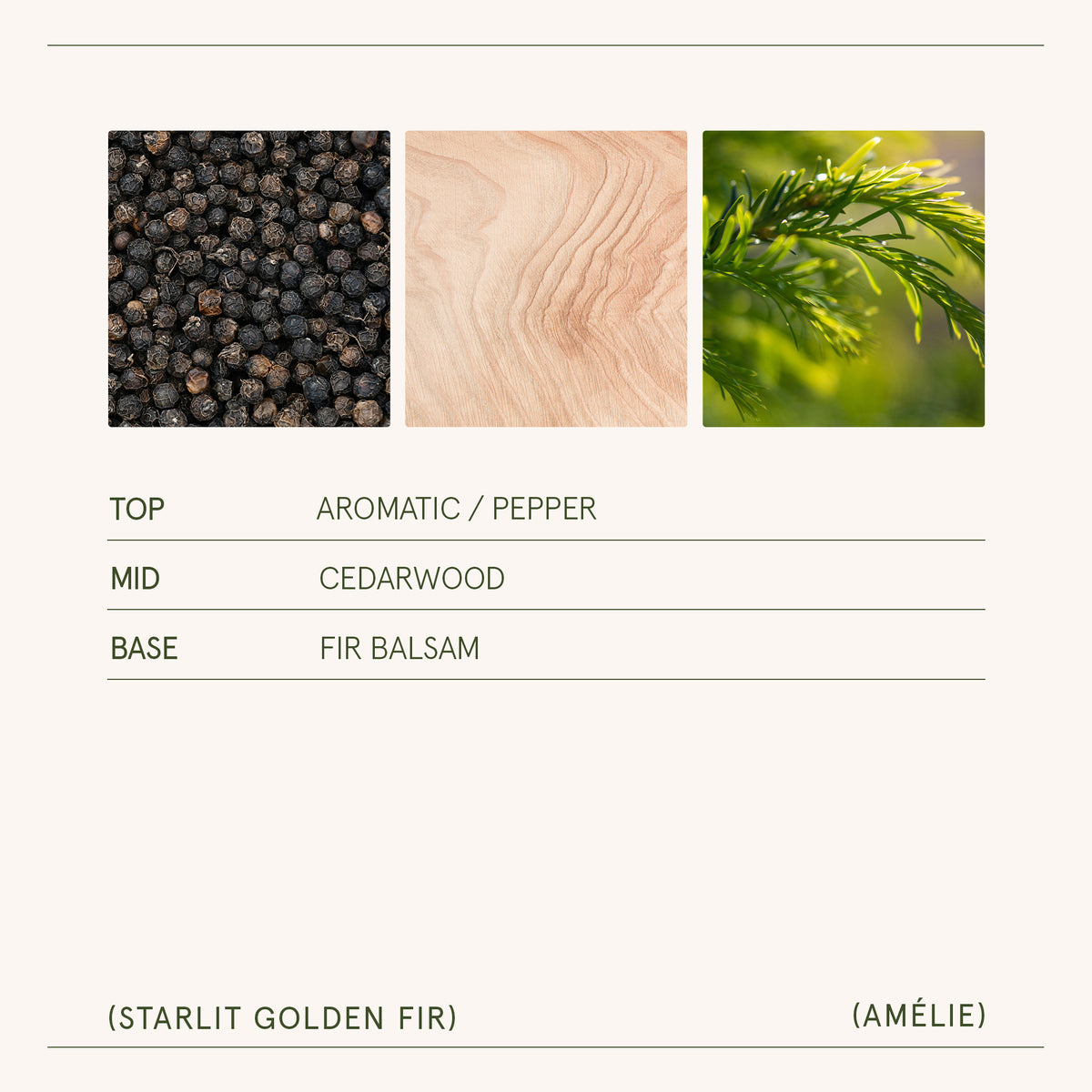 Amélie – Starlit Golden Fir 3oz Candle Amelie_StarlitGoldenFir_PDP_3oz_5 La Jolie Muse