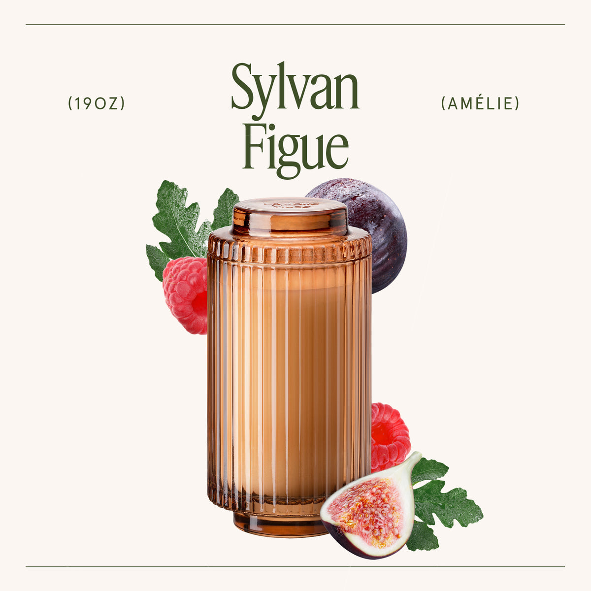 Amélie – Sylvan Figue Candle Amelie_SylvanFigue_PDP_19oz_3 La Jolie Muse