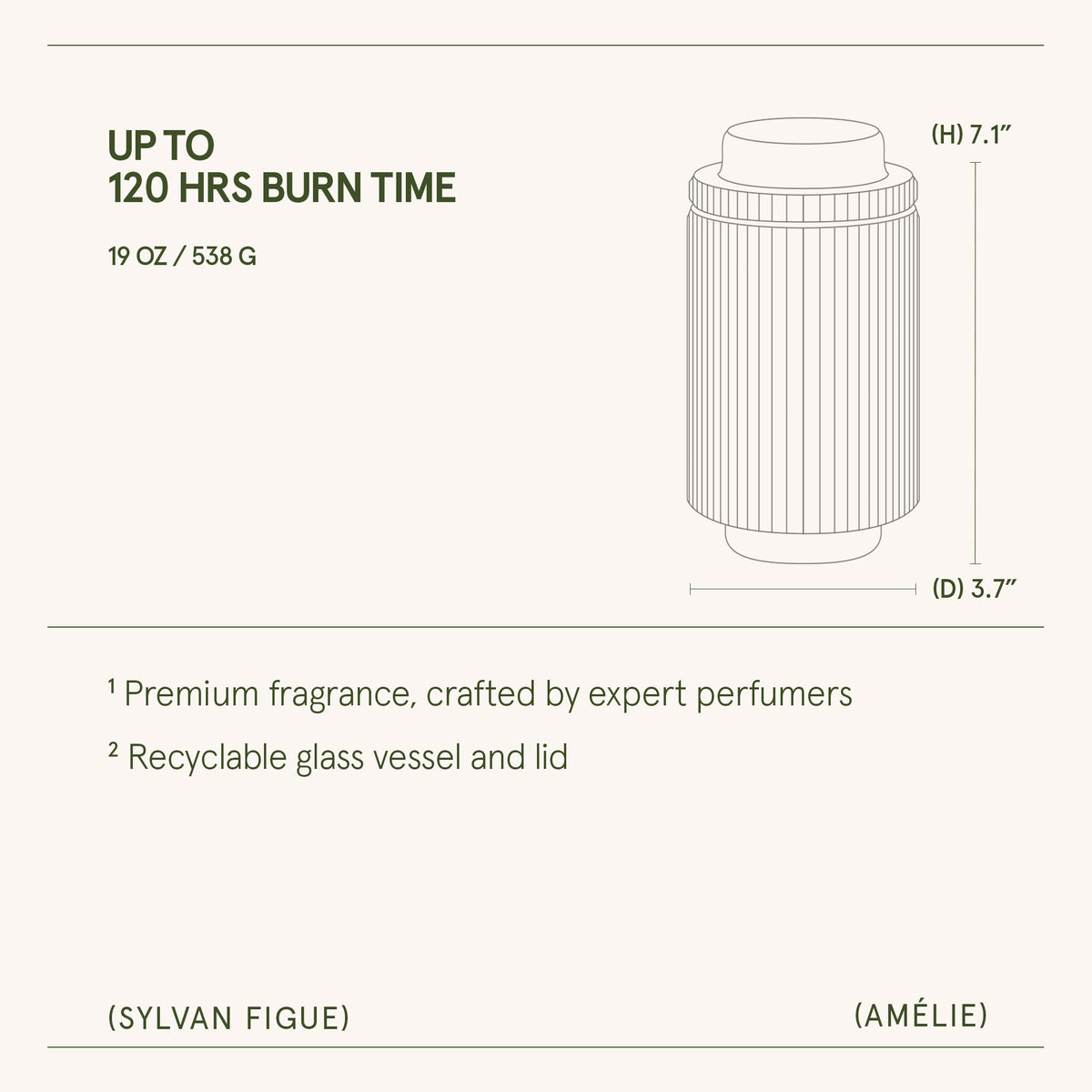 Amélie – Sylvan Figue Candle Amelie_SylvanFigue_PDP_19oz_6 La Jolie Muse