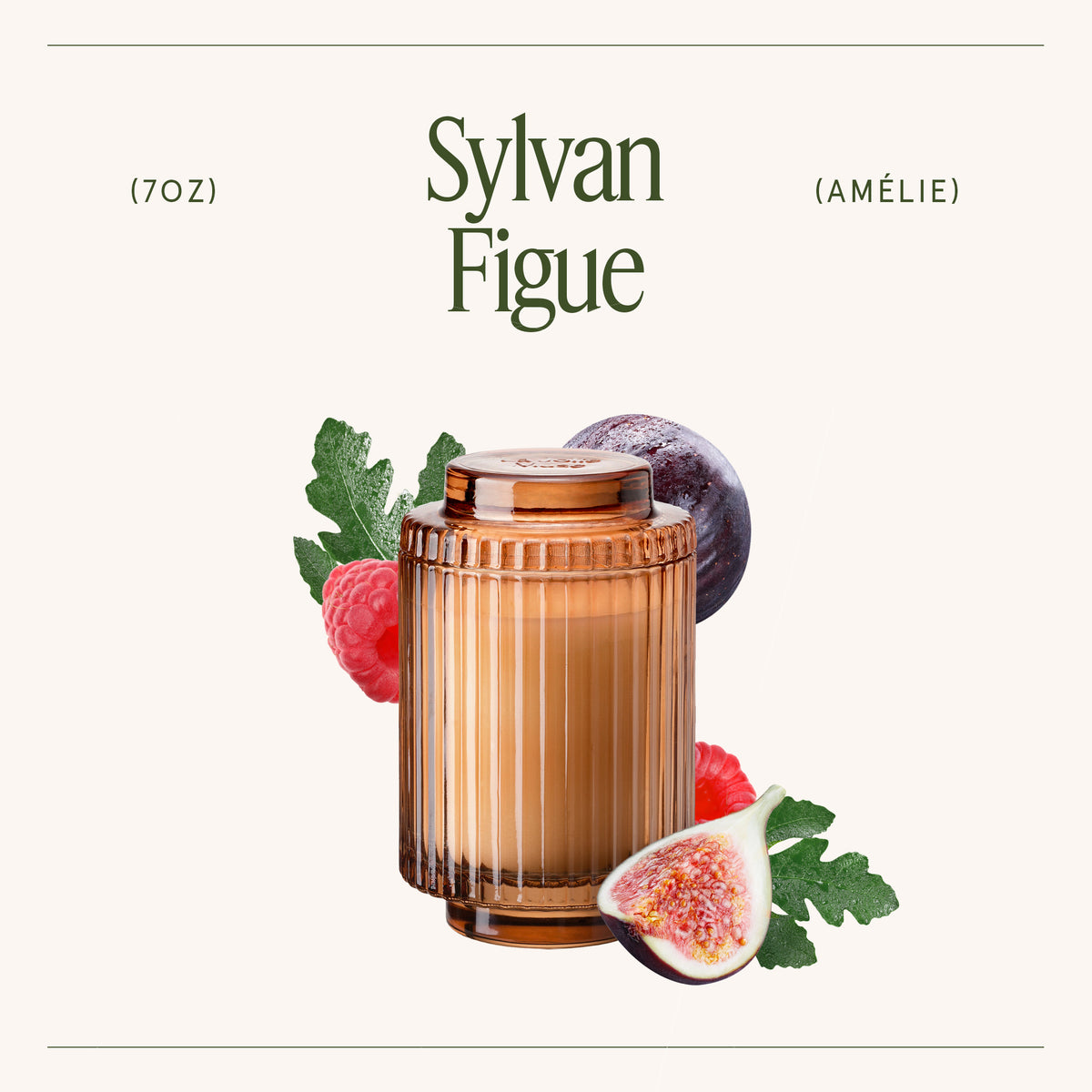 Amélie – Sylvan Figue Candle Amelie_SylvanFigue_PDP_7oz_3 La Jolie Muse