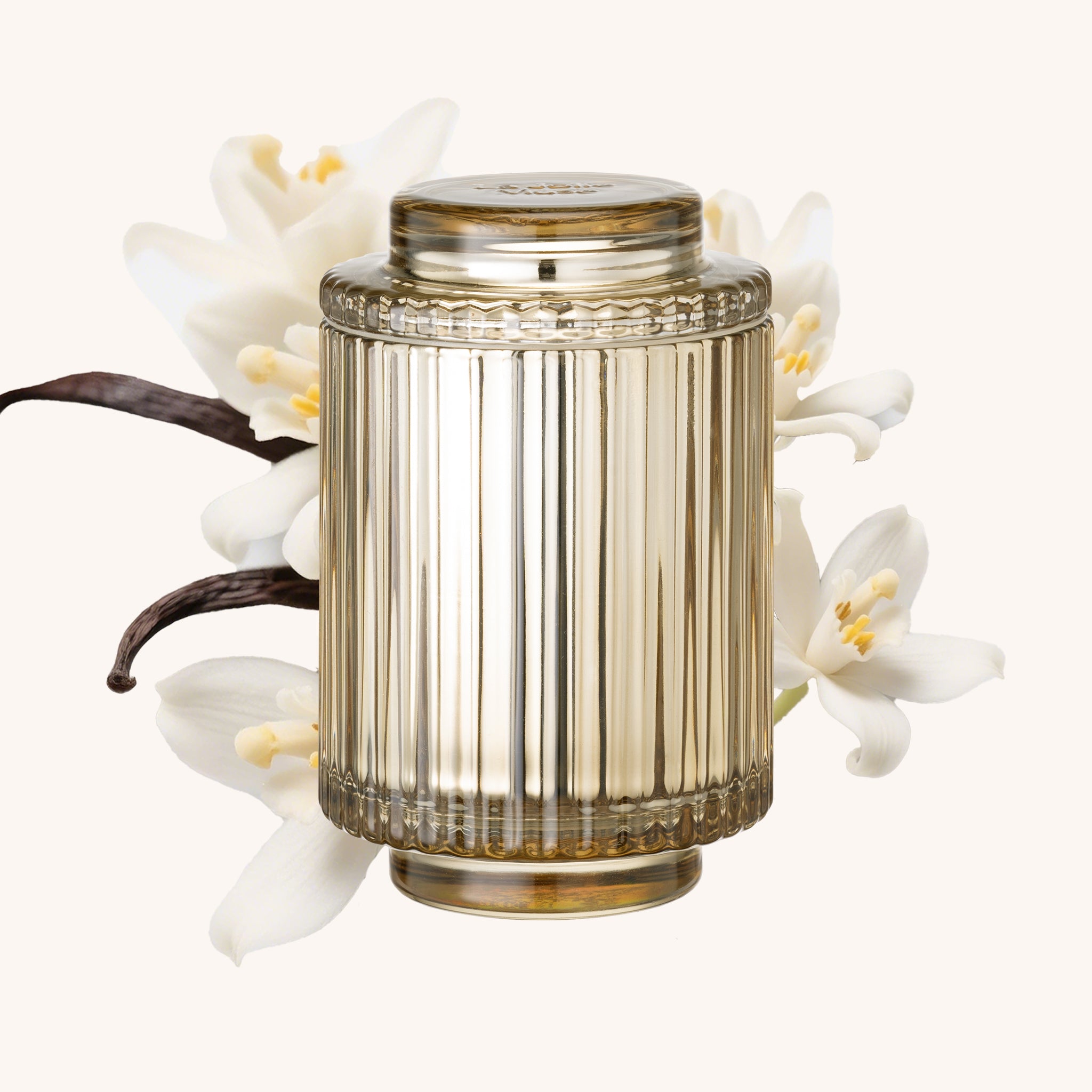 Amélie – Vanilla Plum Sky 11oz Candle Amelie_VanillaPlumSky_PDP_11oz_hover LA JOLIE MUSE