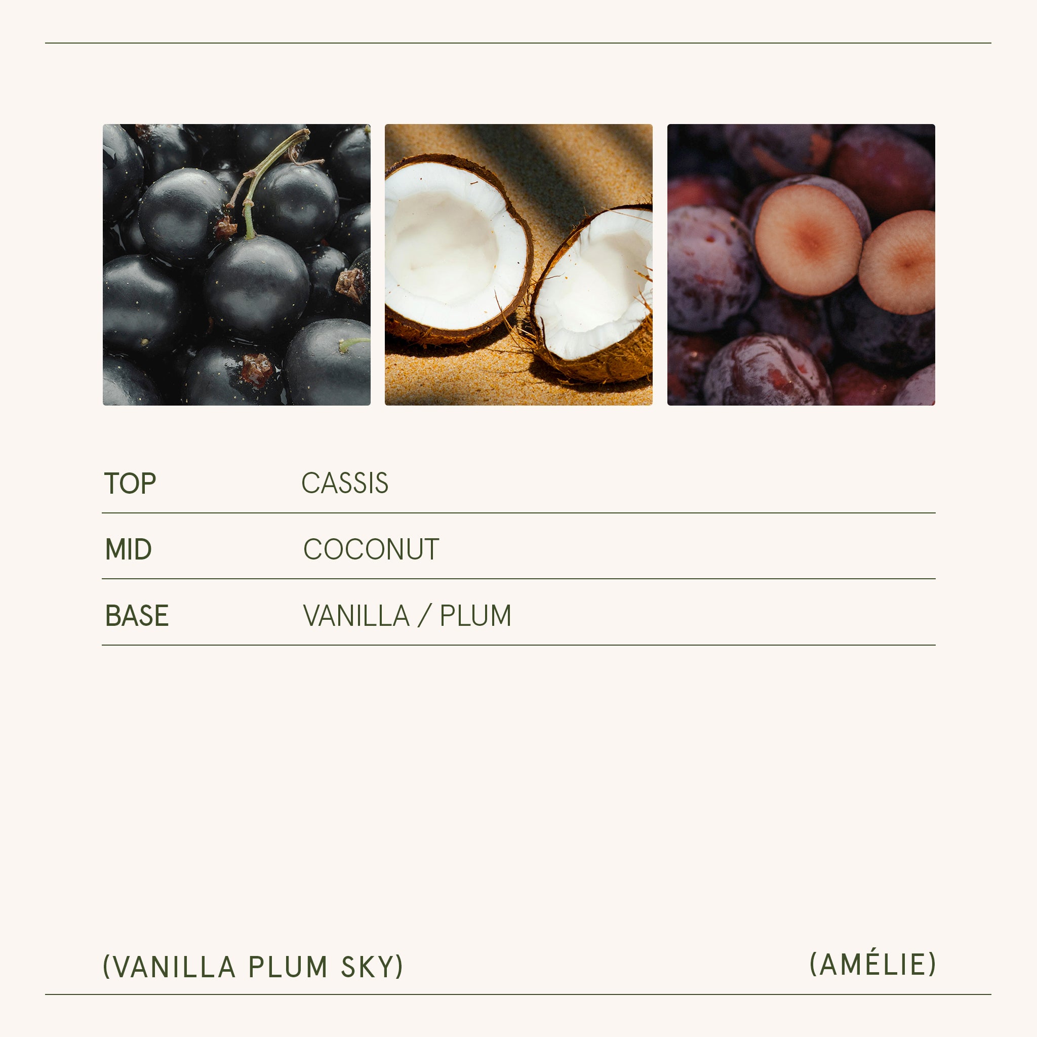 Amélie – Vanilla Plum Sky 3oz Candle Amelie_VanillaPlumSky_PDP_3oz_5 LA JOLIE MUSE