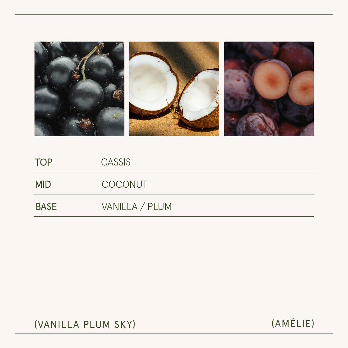 Amélie – Vanilla Plum Sky 3oz Candle Amelie_VanillaPlumSky_PDP_3oz_5 La Jolie Muse
