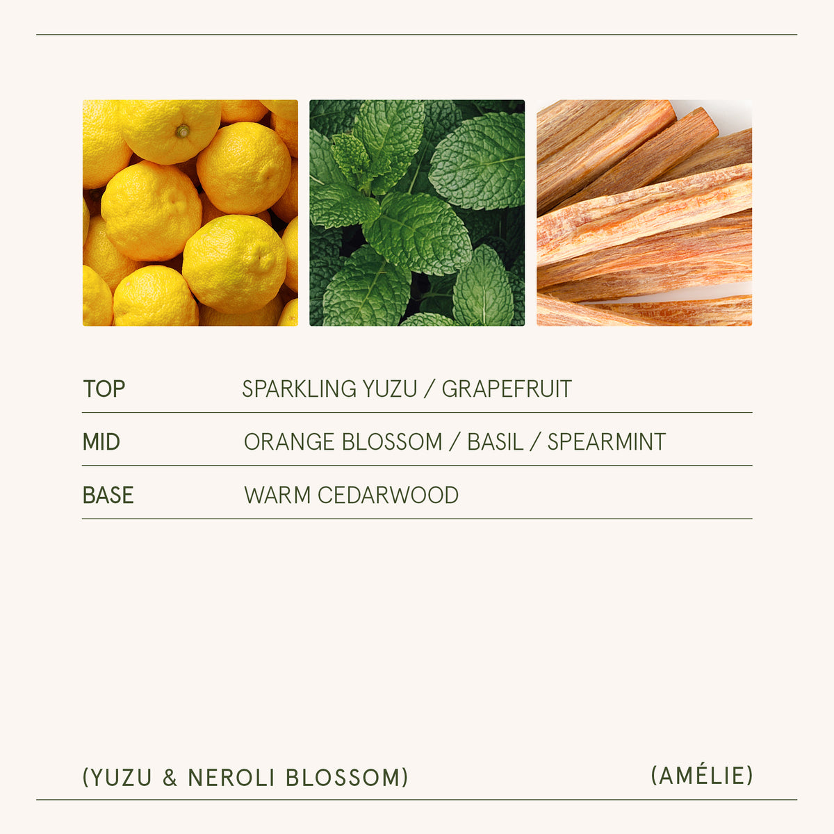 Amélie – Yuzu & Neroli Blossom Candle Amelie_YuzuNeroliBlossom_PDP_7oz_5_d23a58d4-cc00-4fc2-82de-2994b31dacde La Jolie Muse