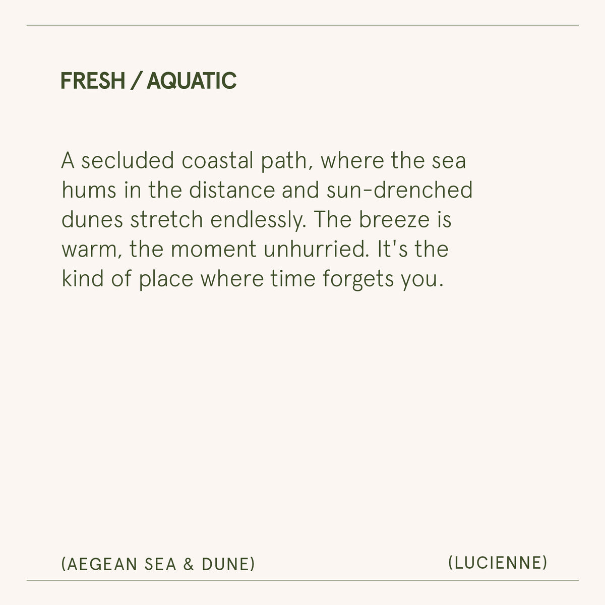 Lucienne - Aegean Sea & Dune Candle Lucienne_AegeanSeaDune_PDP_15oz_7 La Jolie Muse