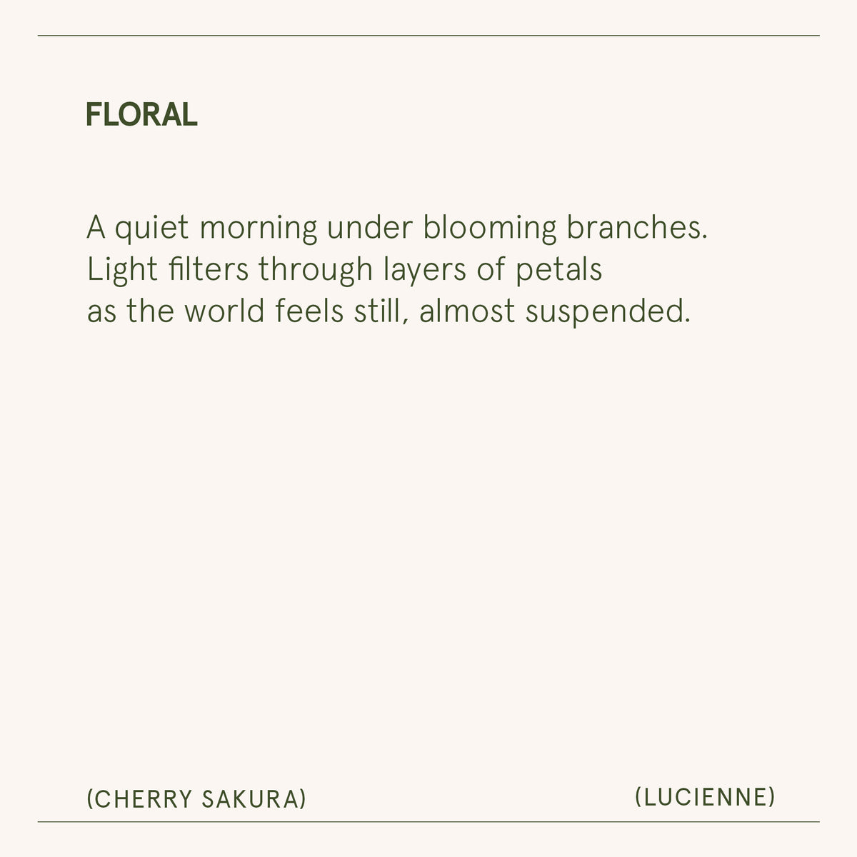 Lucienne - Cherry Sakura Candle Lucienne_CherrySakura_PDP_8oz_7 La Jolie Muse