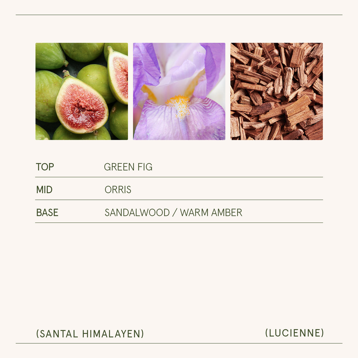 Lucienne - Santal Himalayen Candle Lucienne_SantalHimalayen_PDP_15oz_5 La Jolie Muse