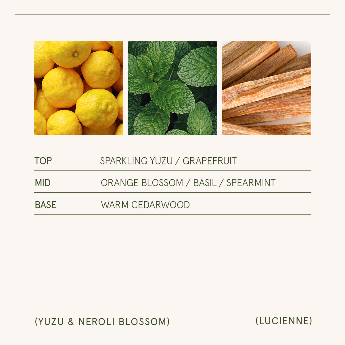 Lucienne - Yuzu & Neroli Blossom Candle Lucienne_YuzuNeroliBlossom_PDP_8oz_5 La Jolie Muse
