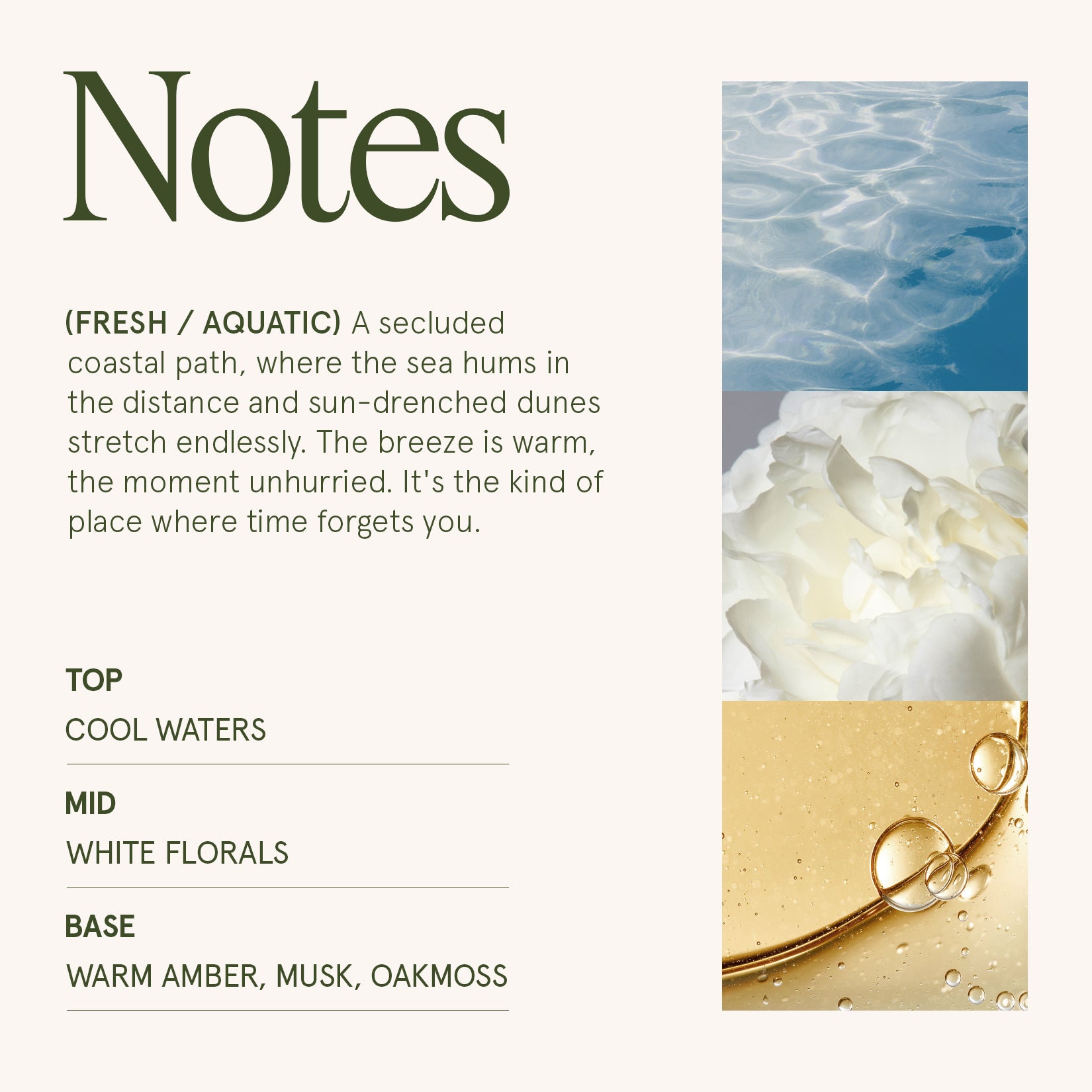 Maelyn Aegean Sea & Dune 19oz Candle Candles Maelyn_AegeanSeaDune_PDP_19oz_4 La Jolie Muse