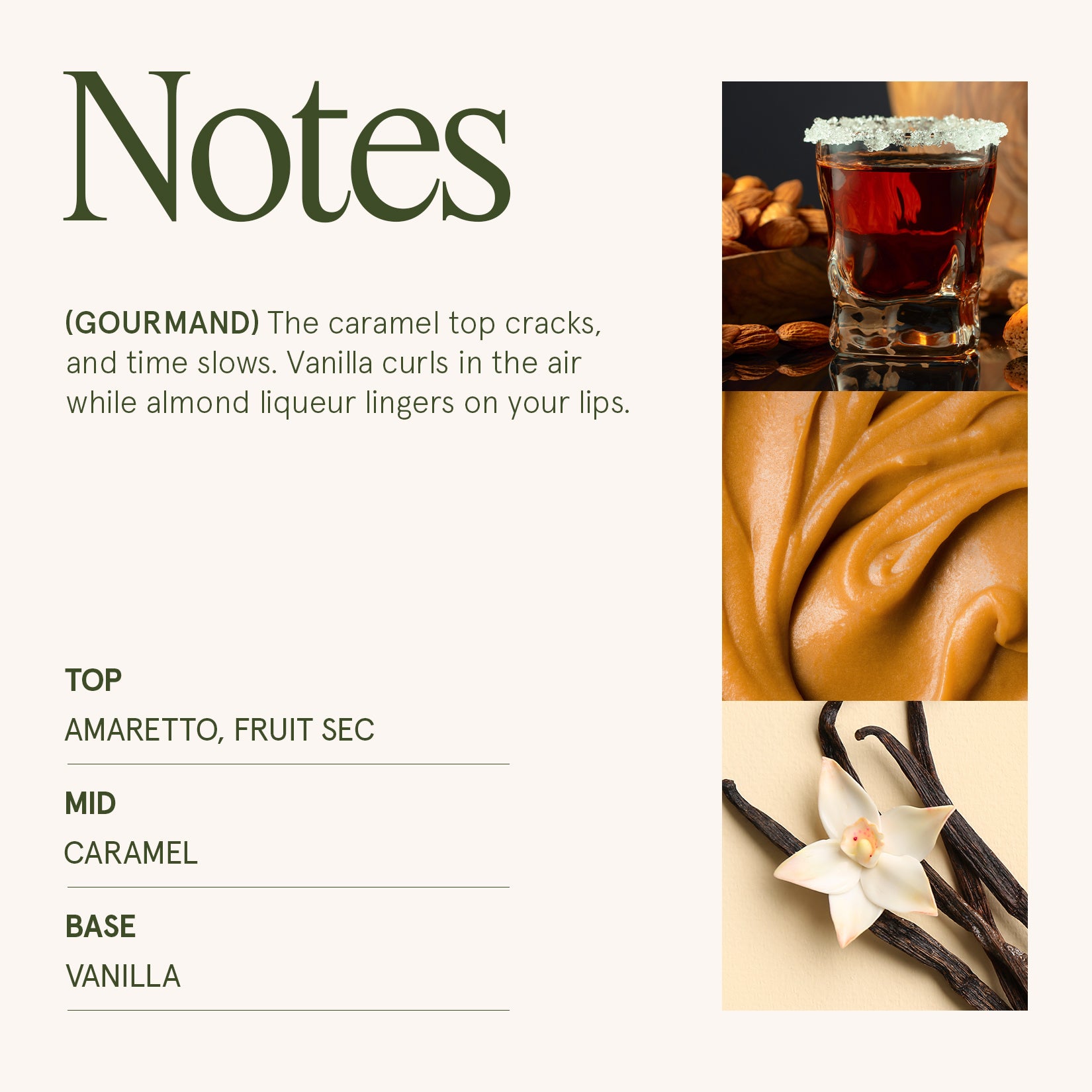 Maelyn - Amaretto Crème Brûlée 19oz Candle Candles Maelyn_AmarettoCremeBruleeLargeJarCandle_PDP_19oz_4 La Jolie Muse