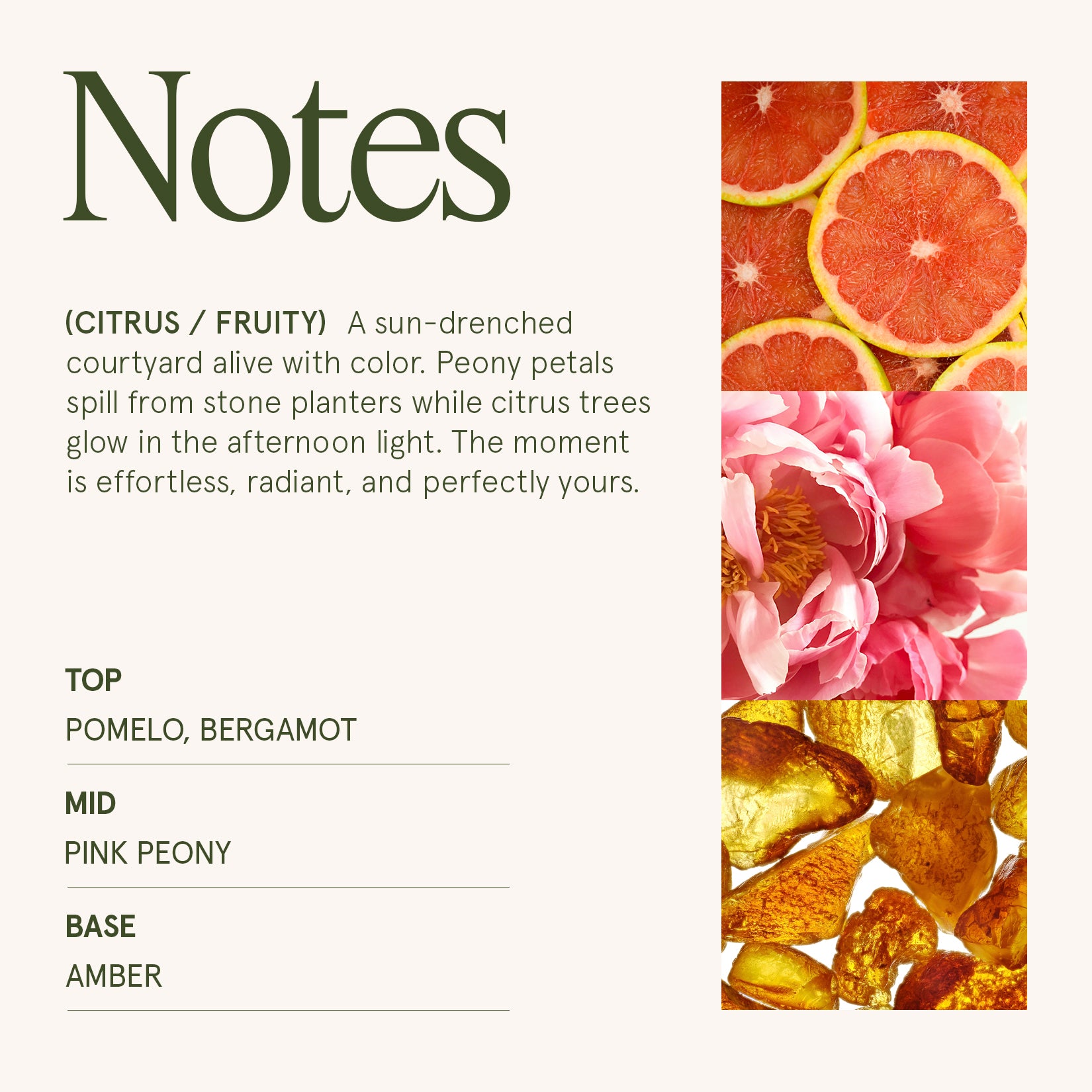 Maelyn - Citrine & Pink Peony 19oz Candle Candles Maelyn_CitrinePinkPeony_PDP_19oz_4 La Jolie Muse