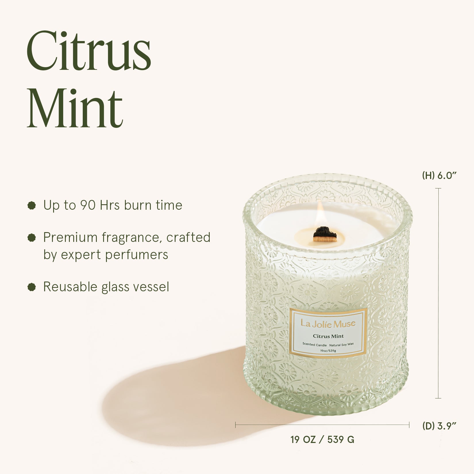Maelyn - Citrus Mint 19oz Candle Candles Maelyn_CitrusMint_PDP_19oz_5 La Jolie Muse