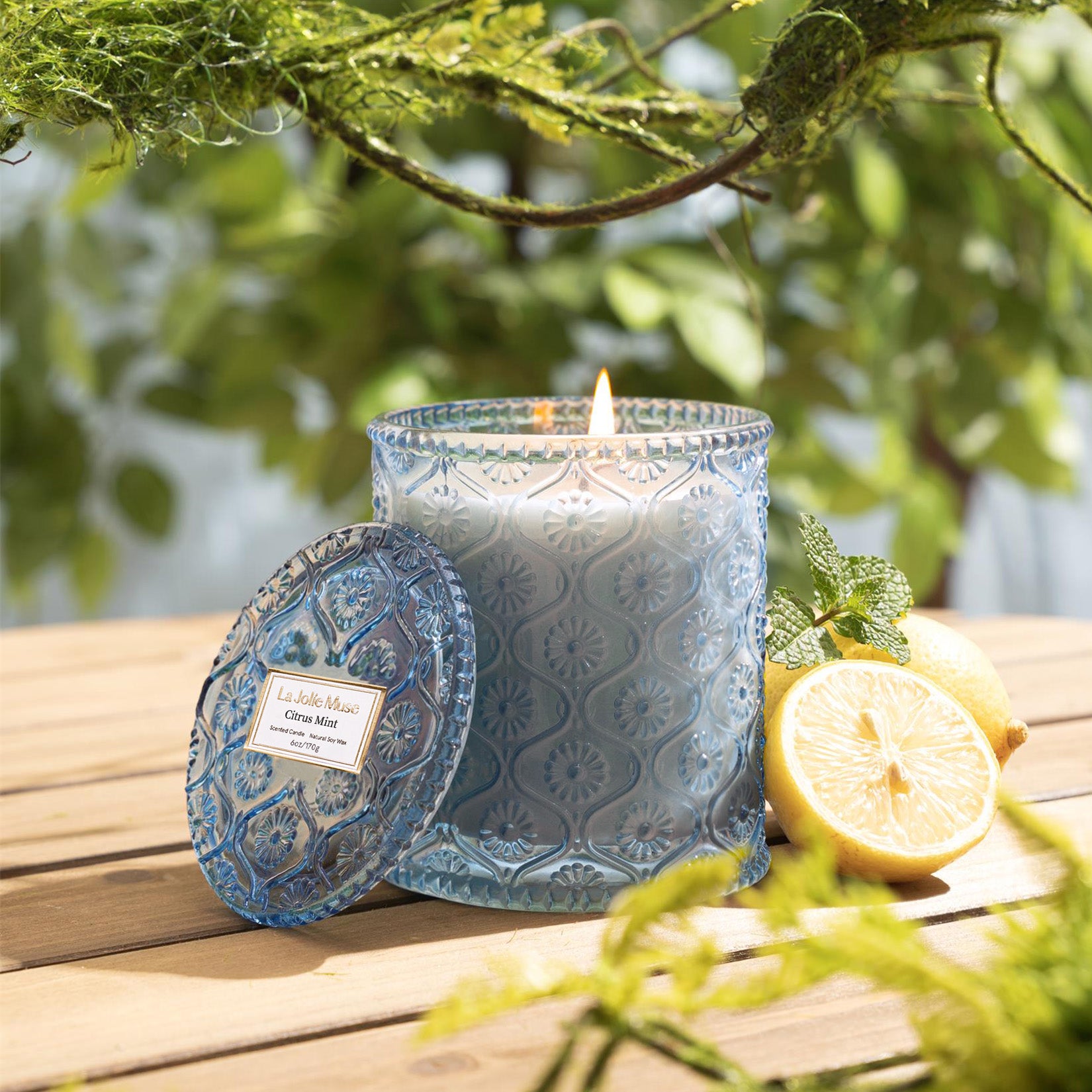 Maelyn - Citrus Mint 6oz Candle Candles Maelyn_CitrusMint_PDP_6oz_3 La Jolie Muse