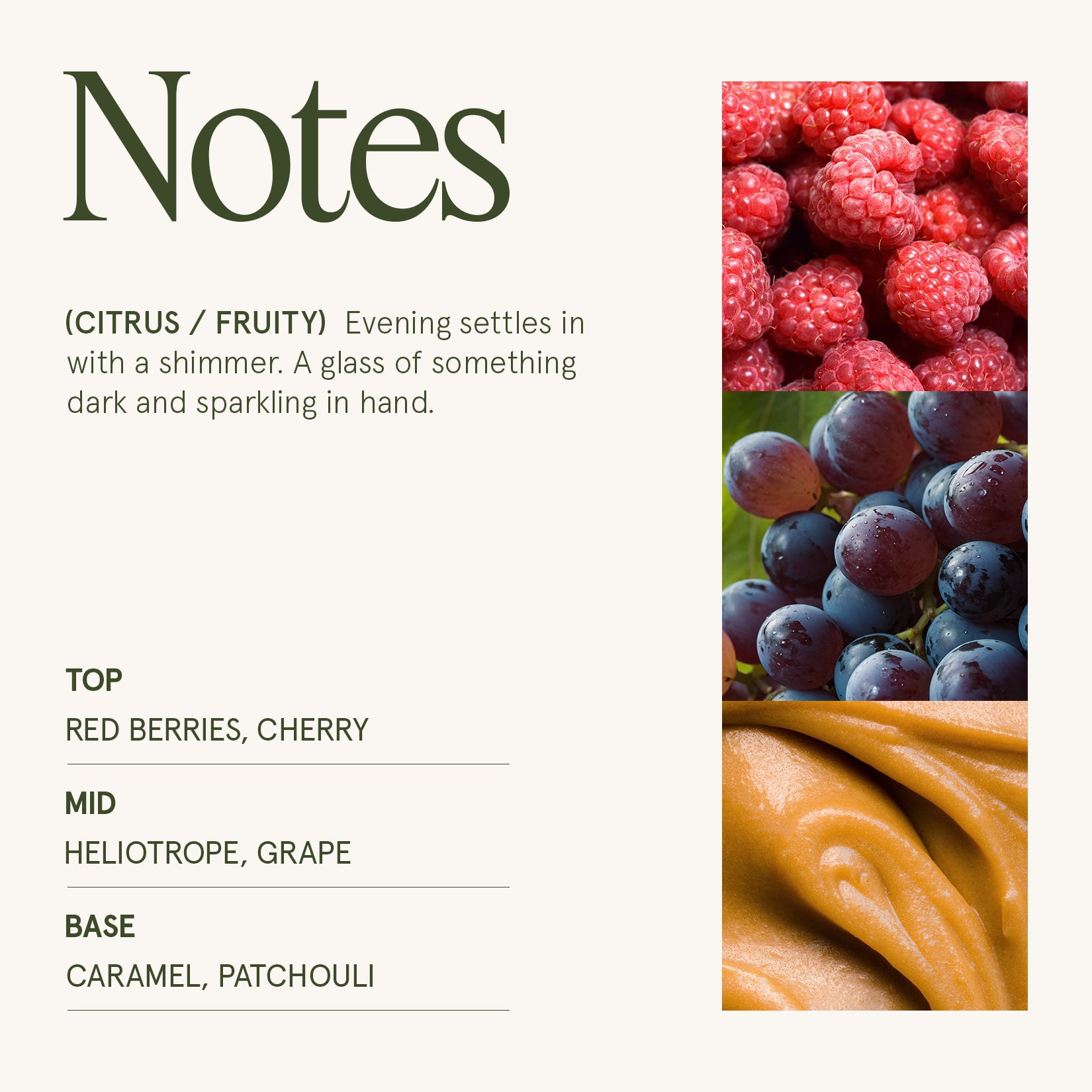 Maelyn - Dark Berries & Bergamot 19oz Candle Candles Maelyn_DarkberriesBergamot_PDP_19oz_4 La Jolie Muse