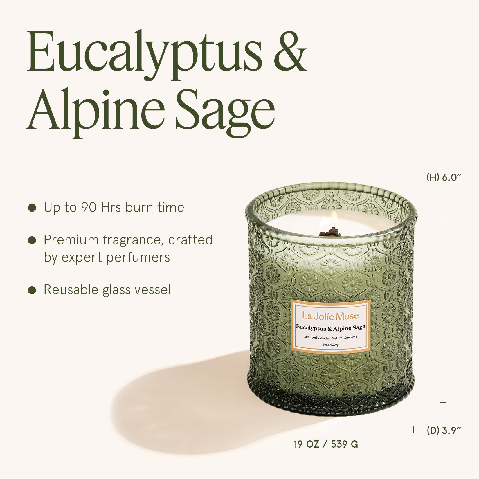 Maelyn - Eucalyptus & Alpine Sage 12oz Candle Candles Maelyn_EucalyptusAlpineSage_PDP_19oz_5 La Jolie Muse