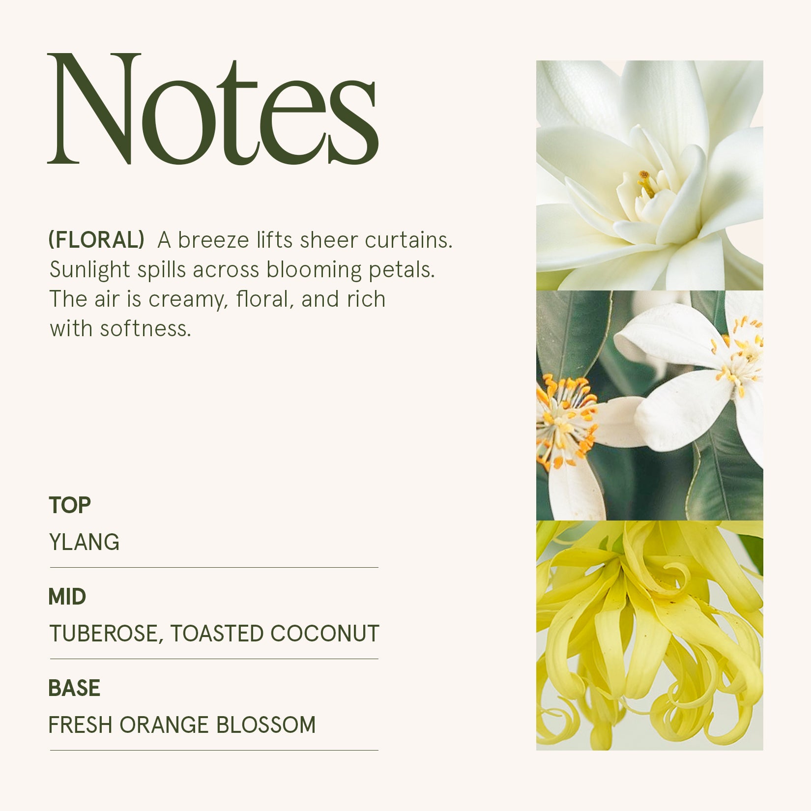 Maelyn - Gardenia & Ylang Ylang 19oz Candle Candles Maelyn_GardeniaYlangYlang_PDP_19oz_4 La Jolie Muse