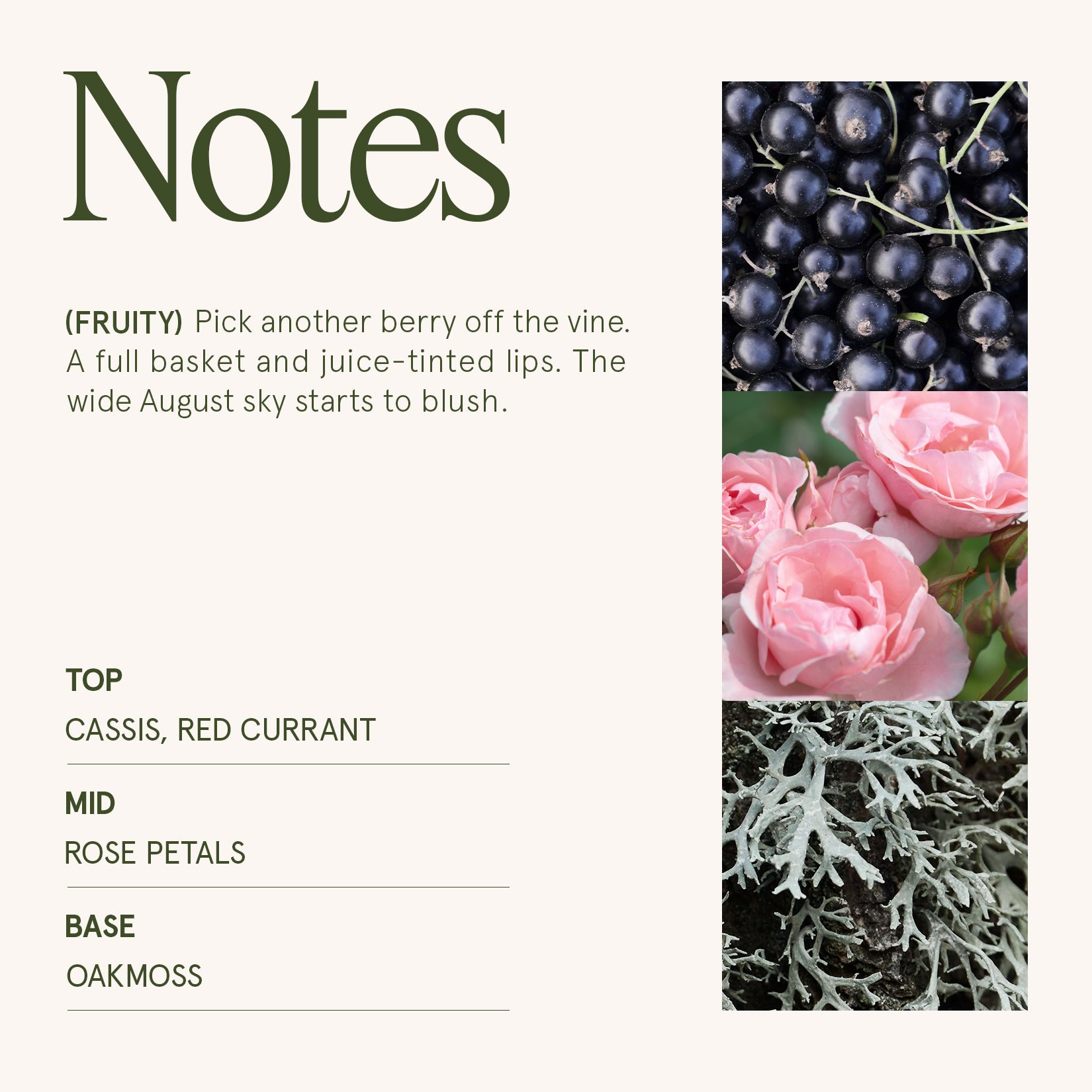 Maelyn - Hey Baies 6oz Candle Candles Maelyn_HeyBaies_PDP_6oz_4 La Jolie Muse