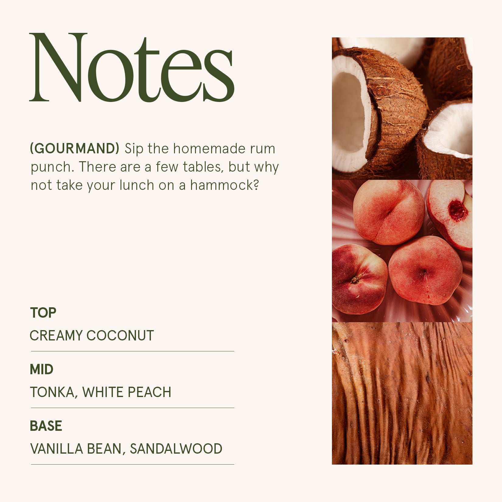 Maelyn - Island Coconut 6oz Candle Candles Maelyn_IslandCoconut_PDP_6oz_4 La Jolie Muse