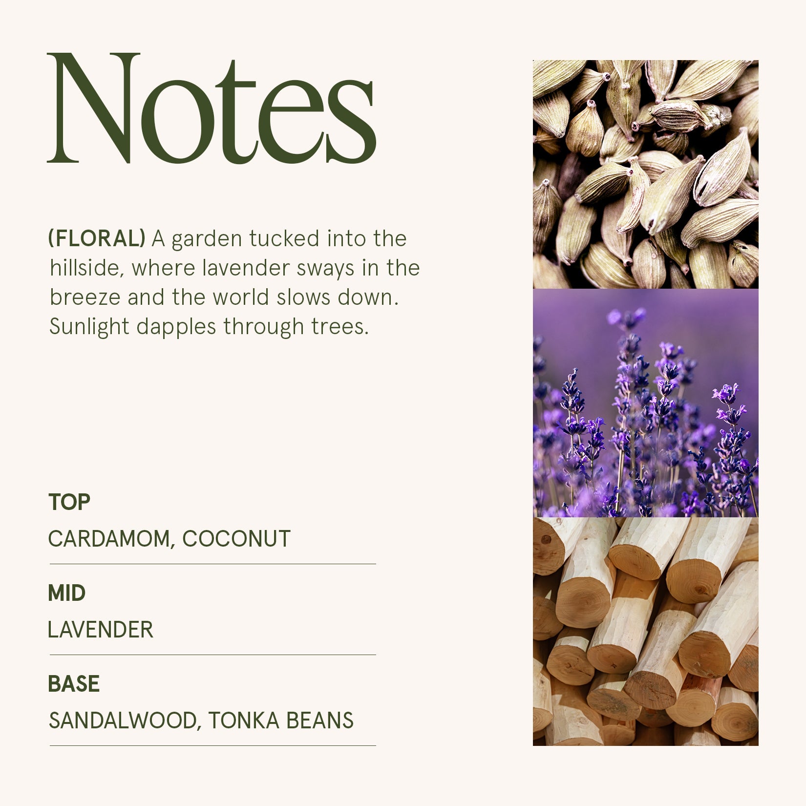 Maelyn Jardin de Lavender 6oz Candle Candles Maelyn_JardindeLavender_PDP_6oz_4 La Jolie Muse