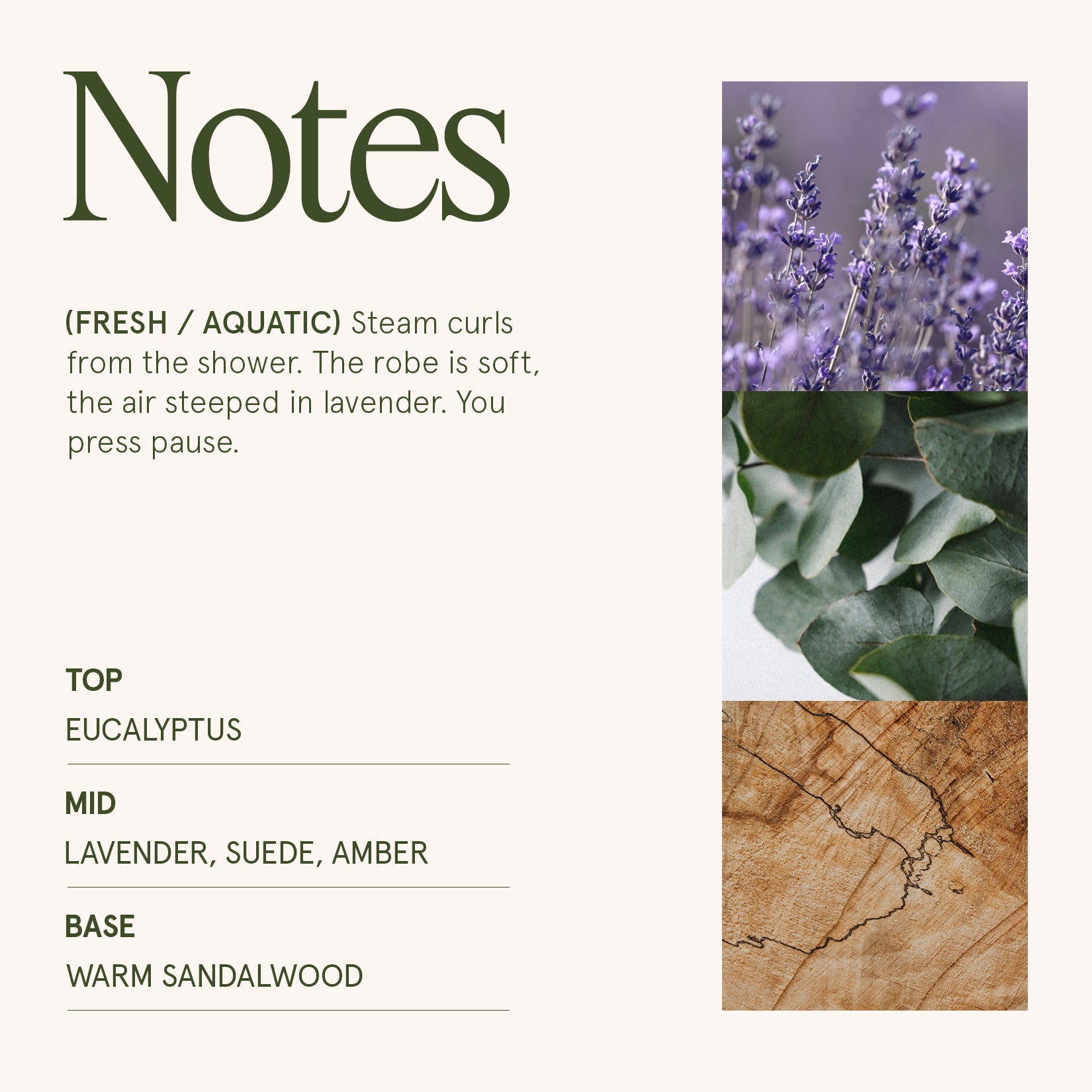 Maelyn - Lavender Suede 19oz Candle Candles Maelyn_LavenderSuede_PDP_19oz_4 La Jolie Muse