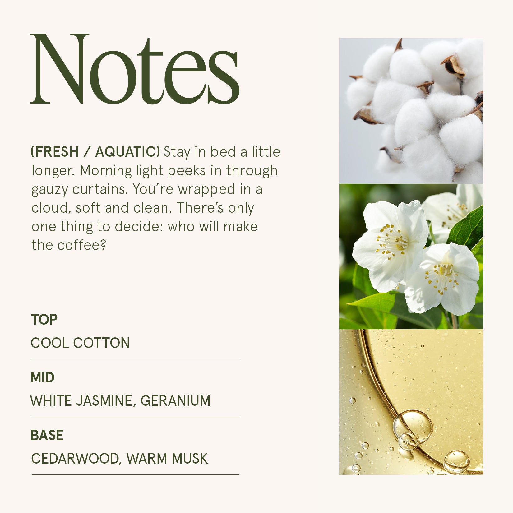 Maelyn - Linen Cotton Oasis 6oz Candle Candles Maelyn_LinenCottonOasis_PDP_6oz_4 La Jolie Muse