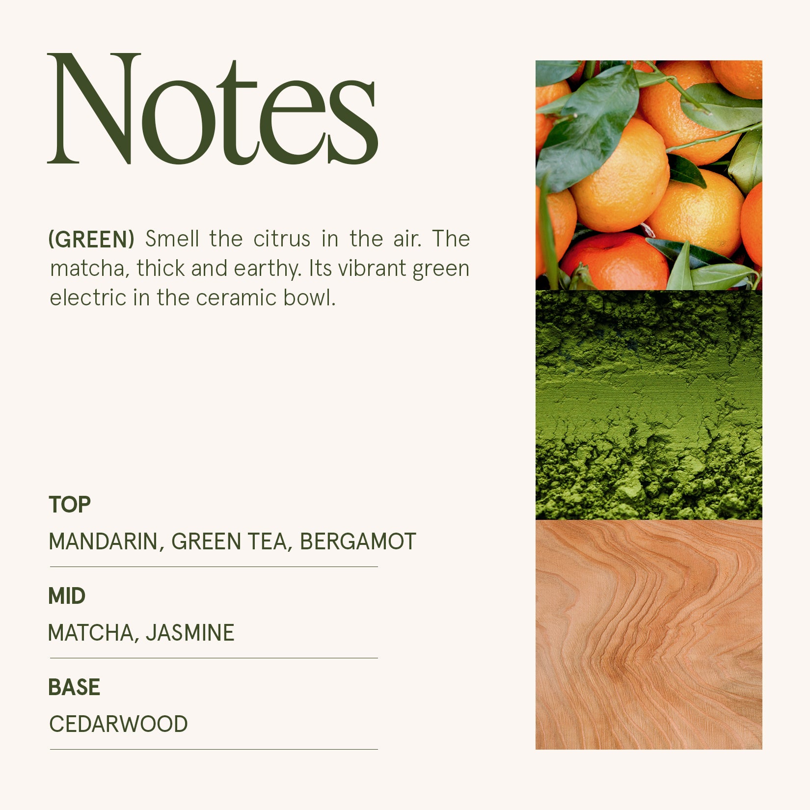 Maelyn - Mandarin Matcha 19oz Candle Candles Maelyn_MandarinMatcha_PDP_19oz_4 La Jolie Muse