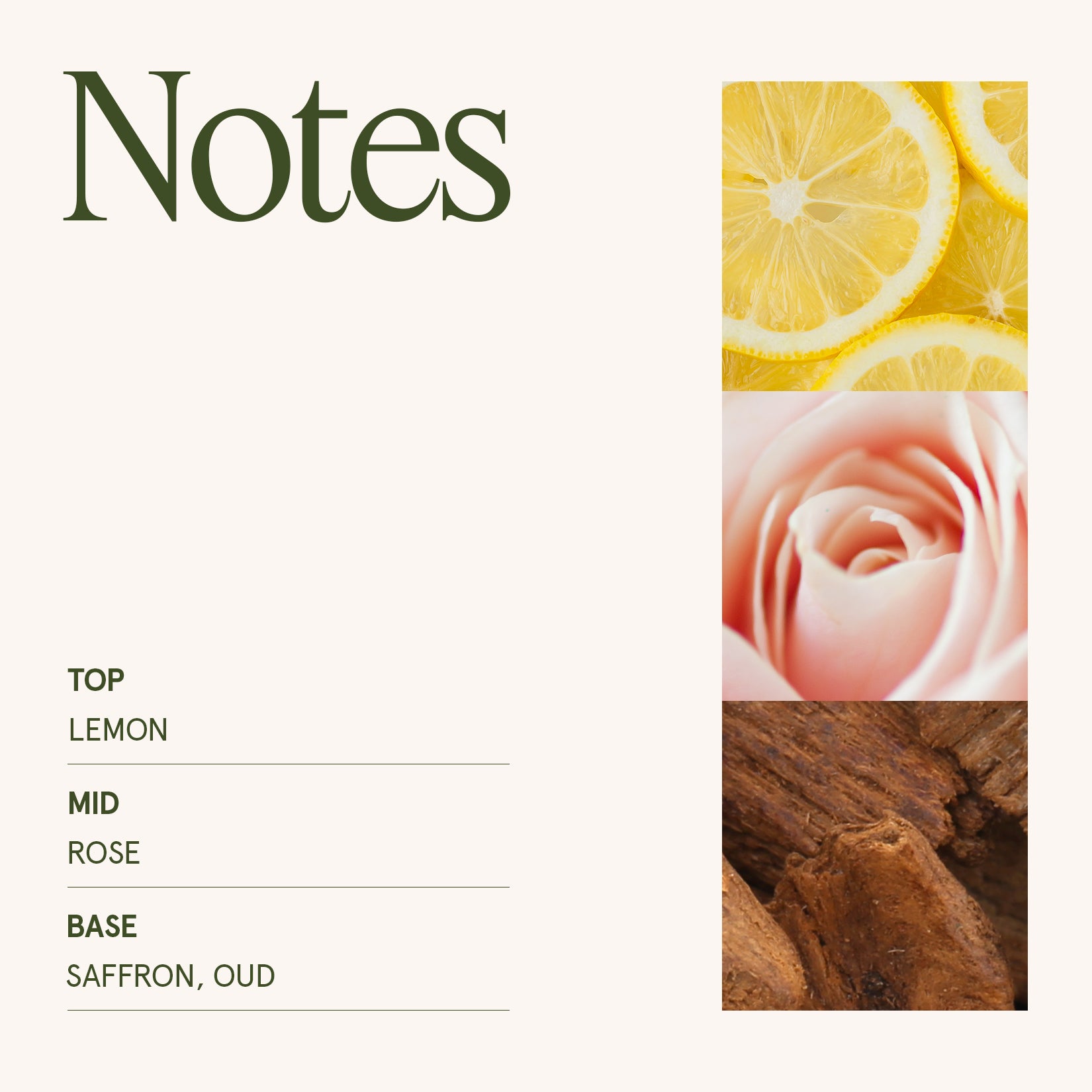 Maelyn - Rose Noir & Oud 19oz Candle Candles Maelyn_PDP_5 La Jolie Muse