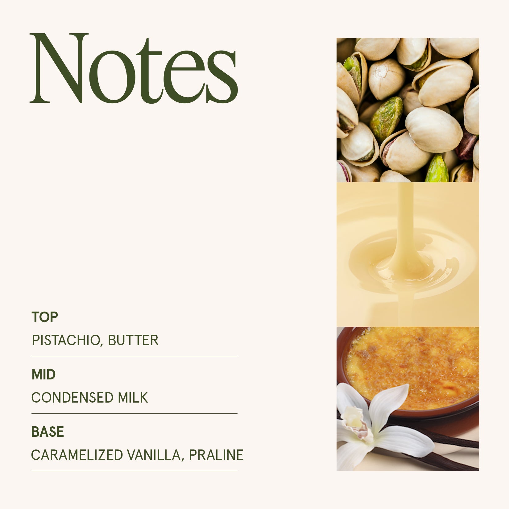 Maelyn - Pistachio Macaron 6oz Candle Candles Maelyn_PistachioMacaron_PDP_6oz_5 La Jolie Muse