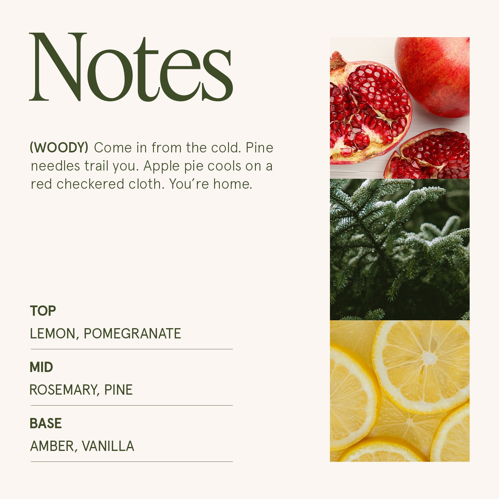 Maelyn - Pomegranate & Pine 6oz Candle Candles Maelyn_PomegranatePine_PDP_6oz_4 La Jolie Muse