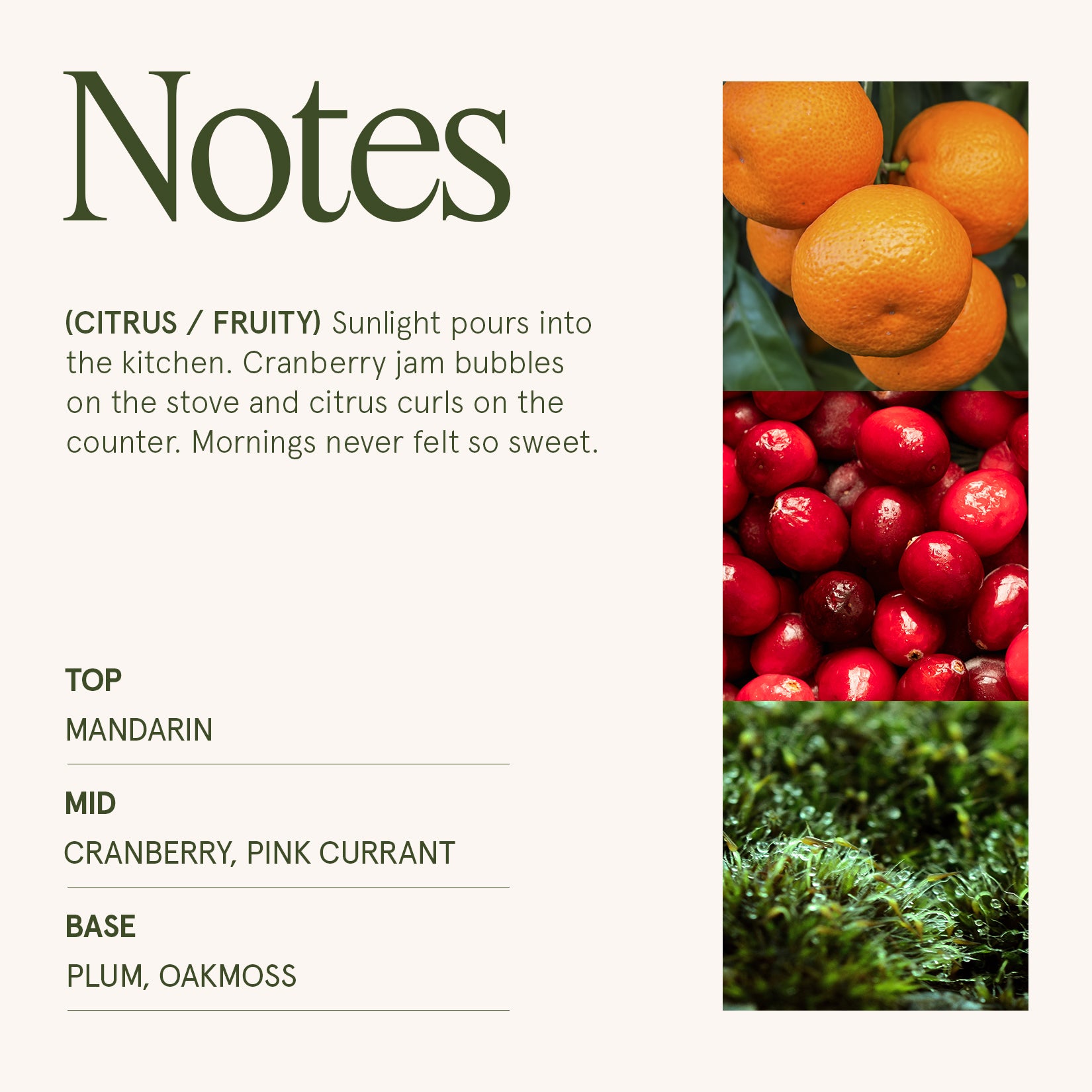 Maelyn - Ruby Berry Bliss 6oz Candle Candles Maelyn_RubyBerryBliss_PDP_6oz_4 La Jolie Muse