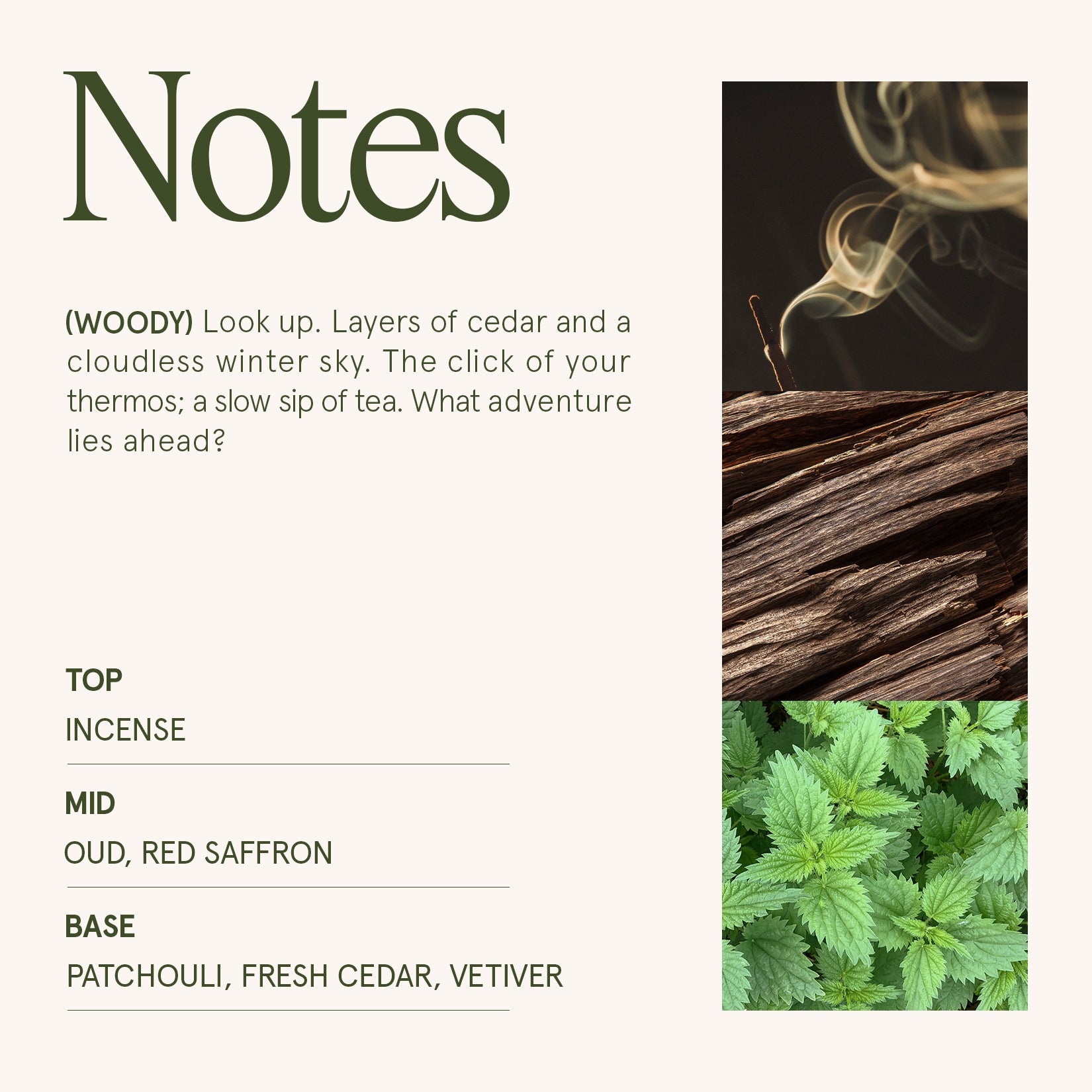 Maelyn - Saffron & Oud 12oz Candle Candles Maelyn_SaffronOud_PDP_12oz_4 La Jolie Muse