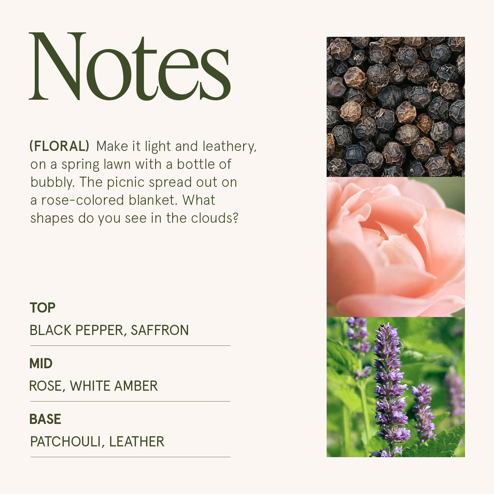 Maelyn - Santal Rosé 6oz Candle Candles Maelyn_SantalRose_PDP_6oz_4 La Jolie Muse