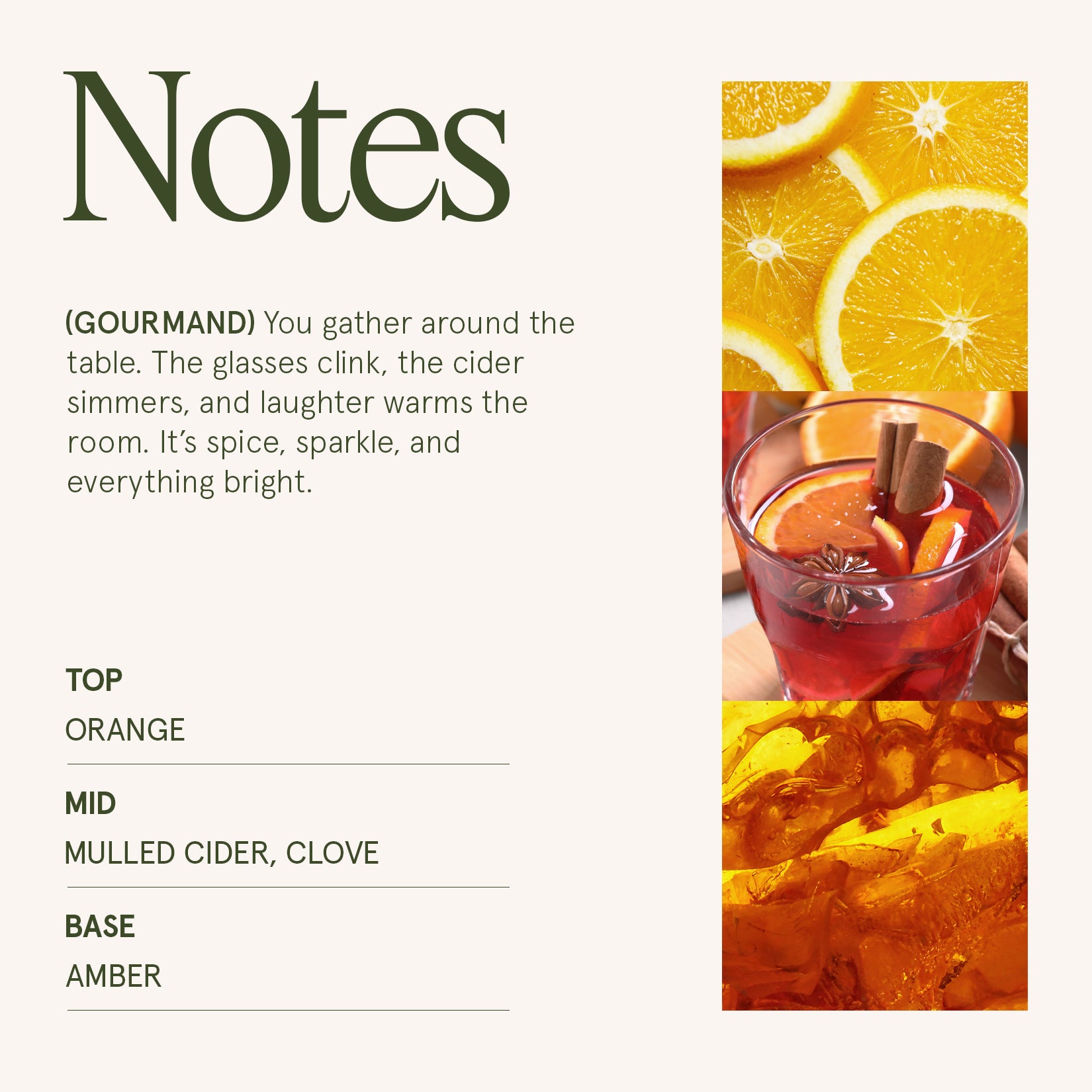 Maelyn - Sparkling Cider Mule 19oz Candle Candles Maelyn_SparklingCiderMule_PDP_19oz_4 La Jolie Muse