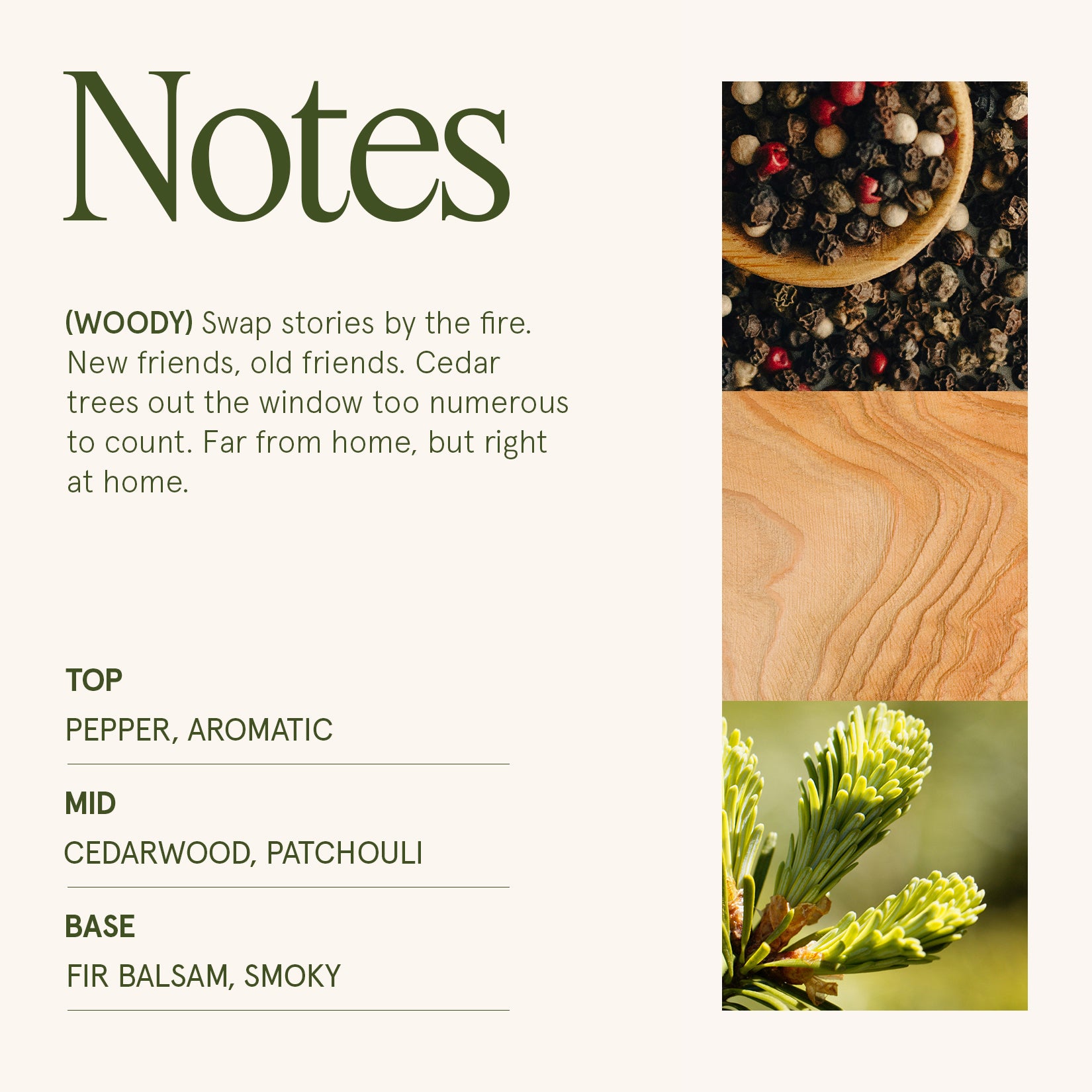 Maelyn - Starlit Golden Fir 12oz Candle Candles Maelyn_StarlitGoldenFir_PDP_12oz_4 La Jolie Muse