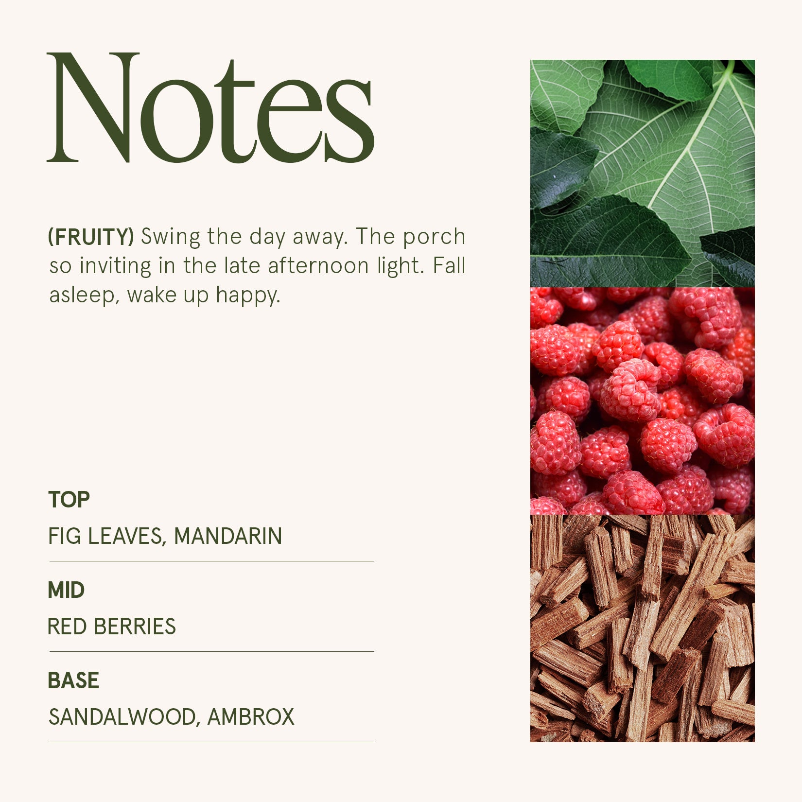 Maelyn - Sylvan Figue 19oz Candle Candles Maelyn_SylvanFigue_PDP_19oz_4 La Jolie Muse